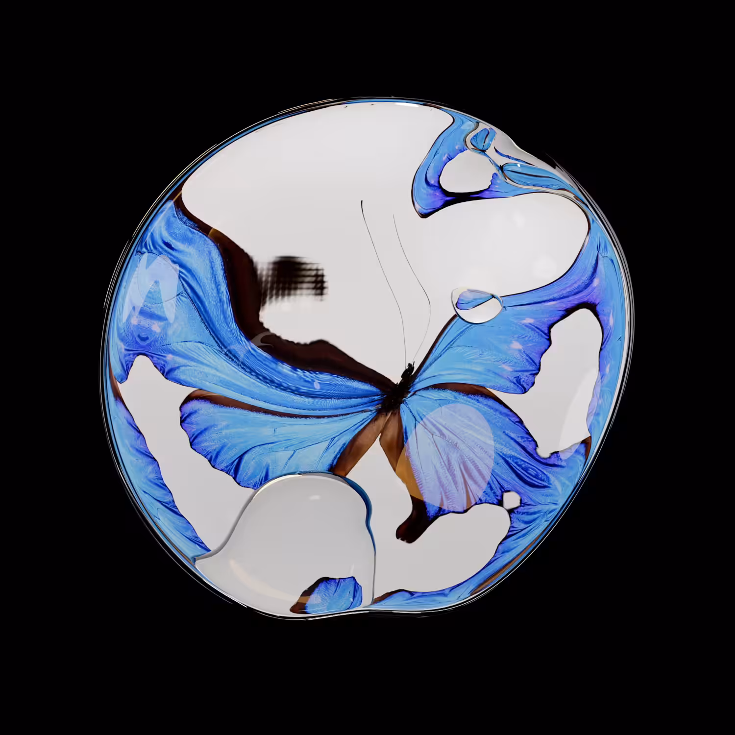 Butterfly Collection no.4