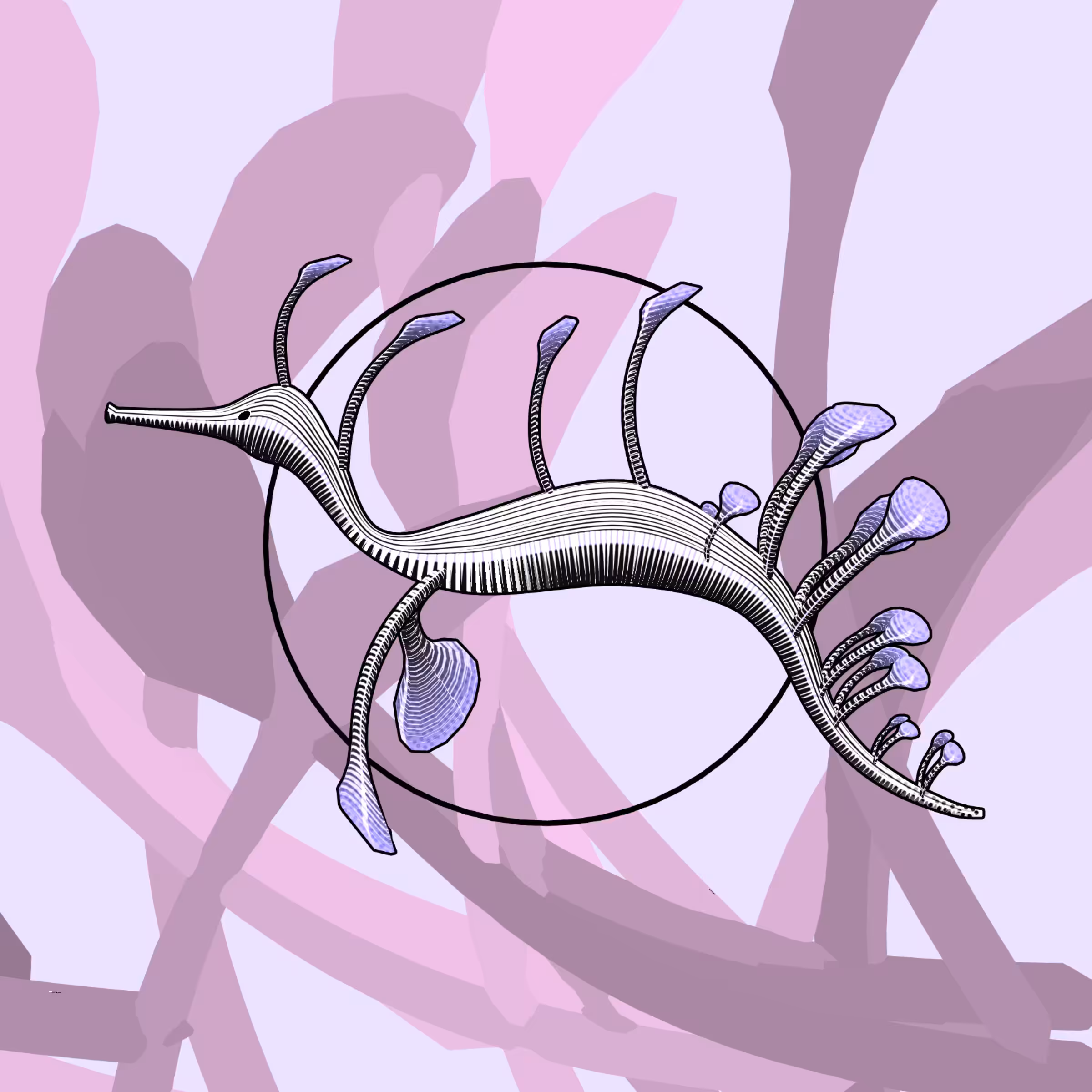 Seadragons #591