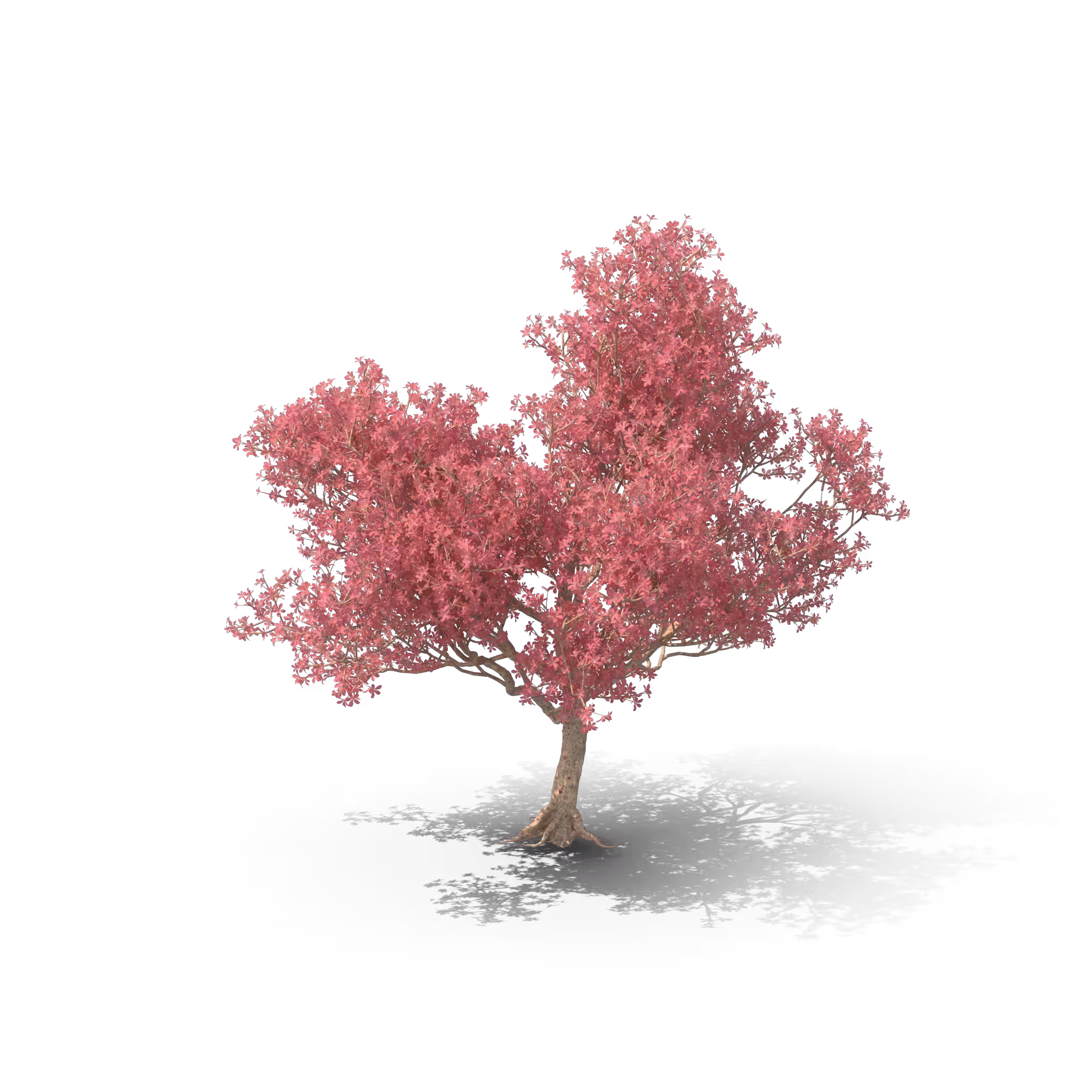 Your Tree I Silk