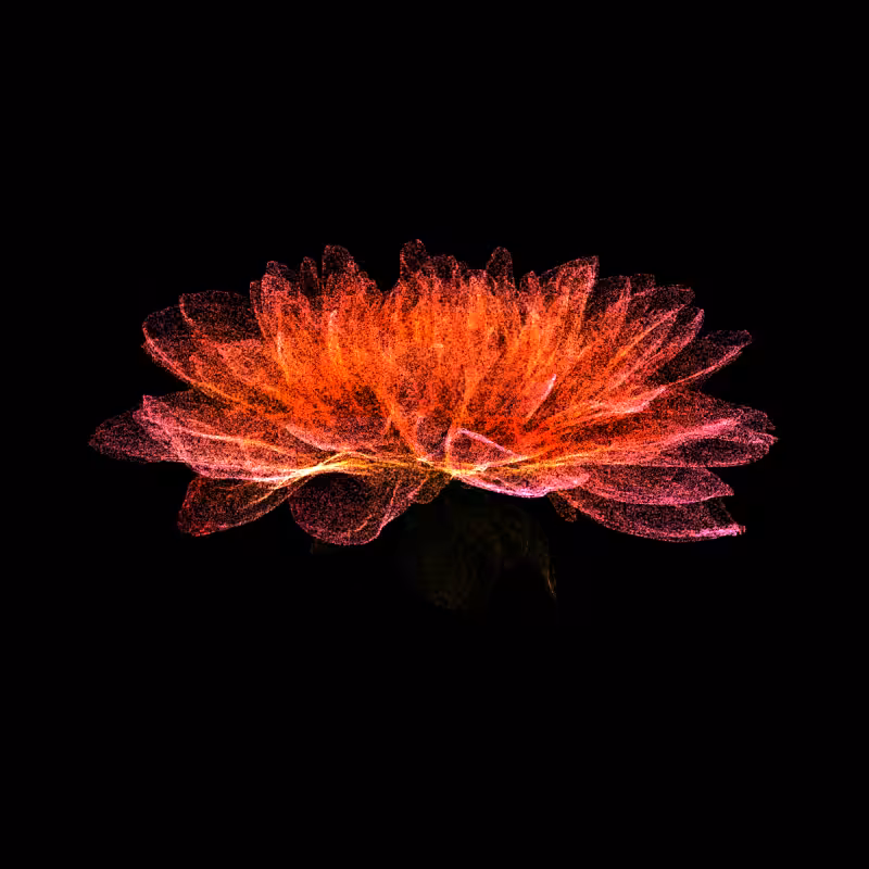 Dahlia Pinnata 30 #138