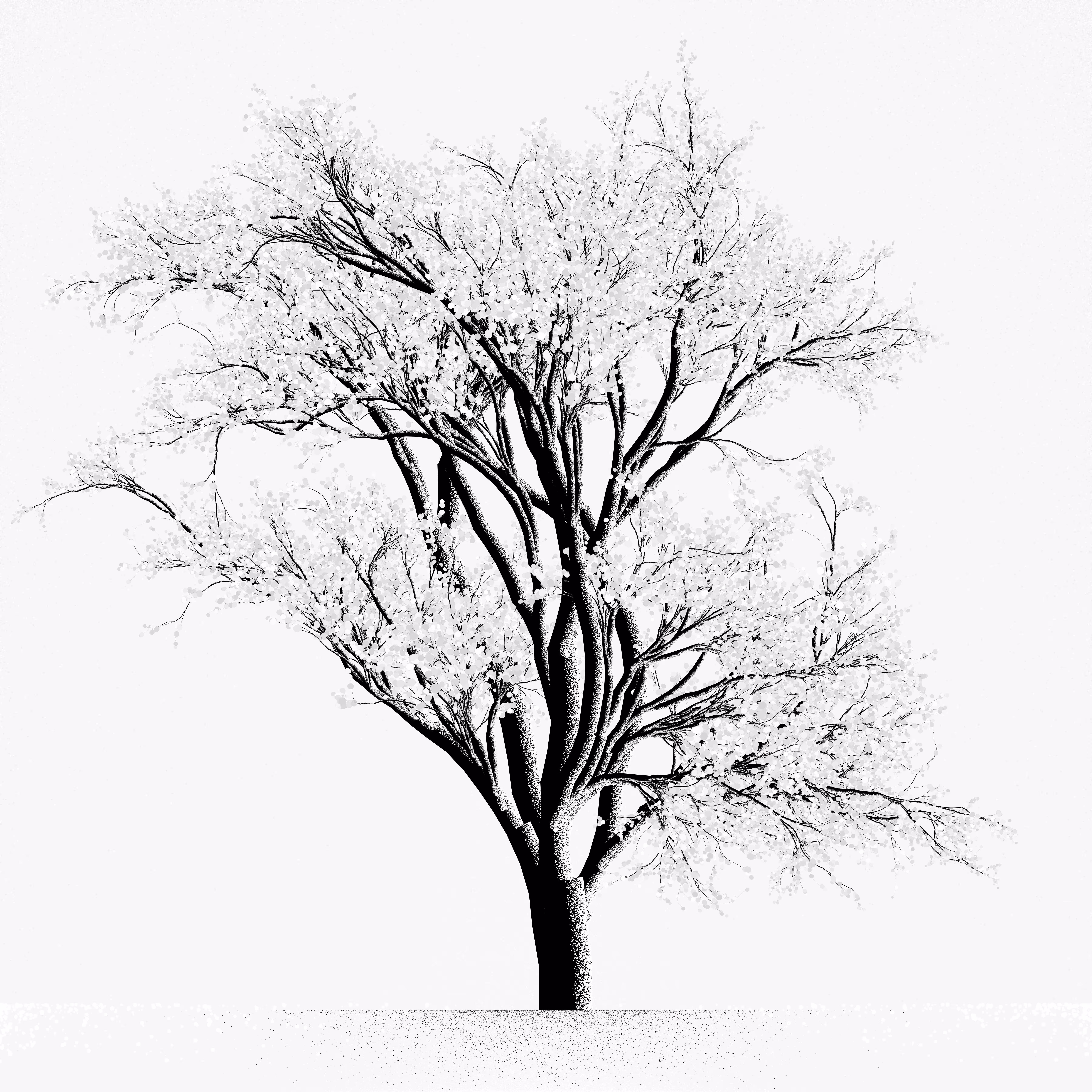 Snow Tree #29