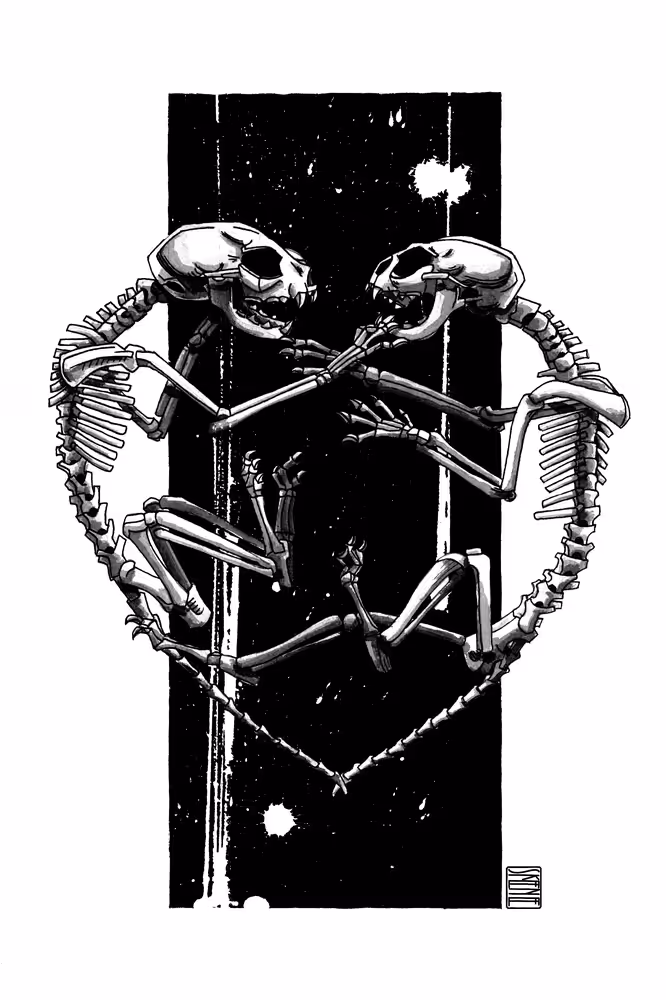 Kitten Skeletons Study
