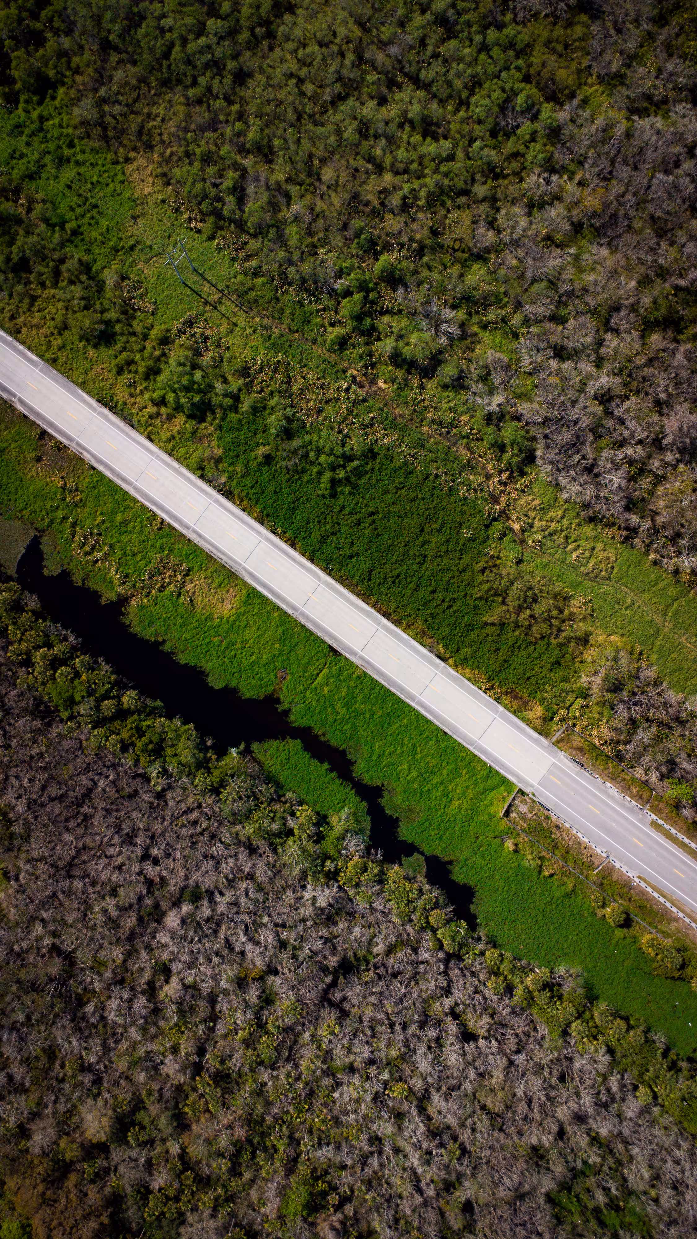 Florida Highway
