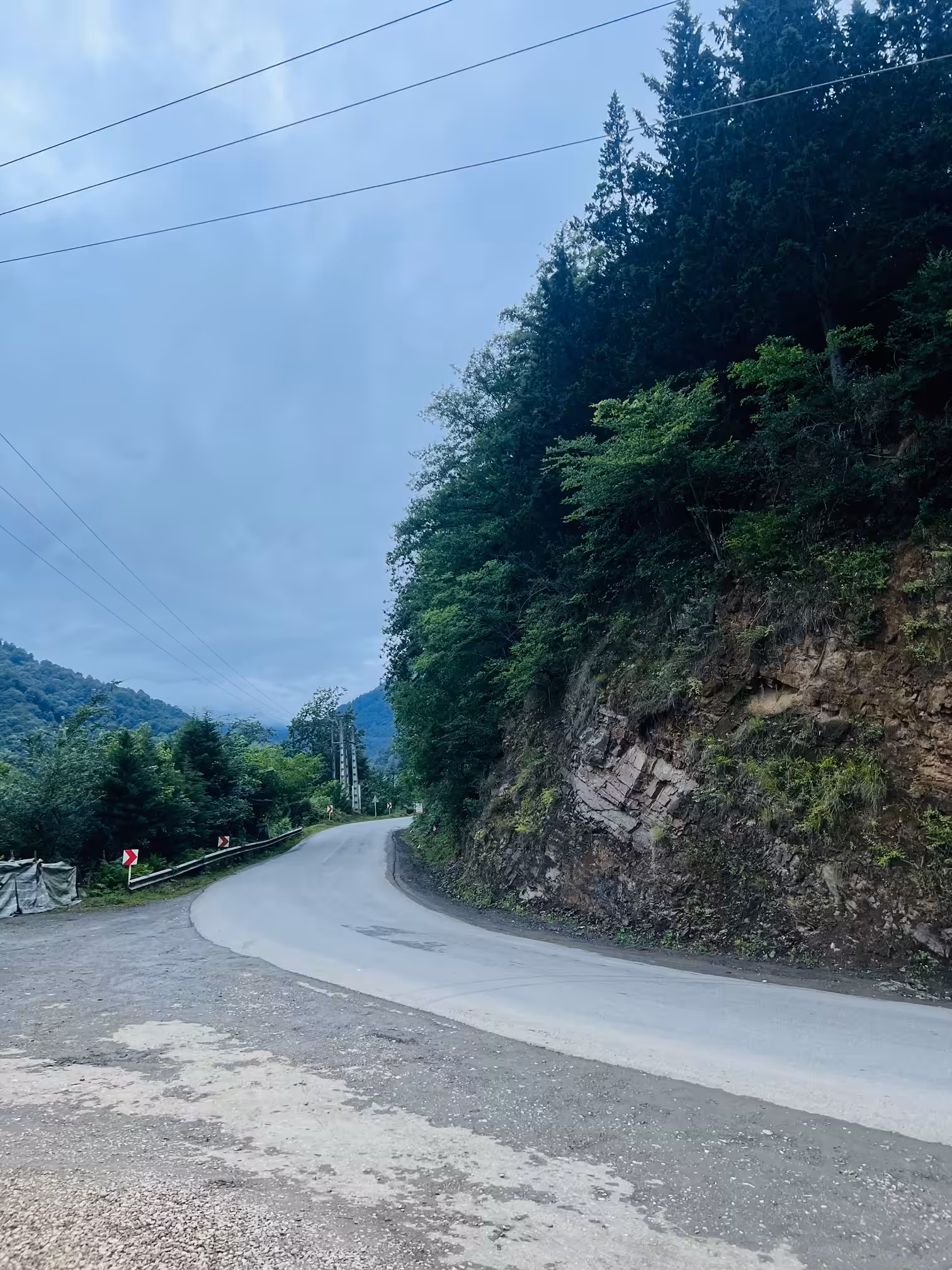 Forest road