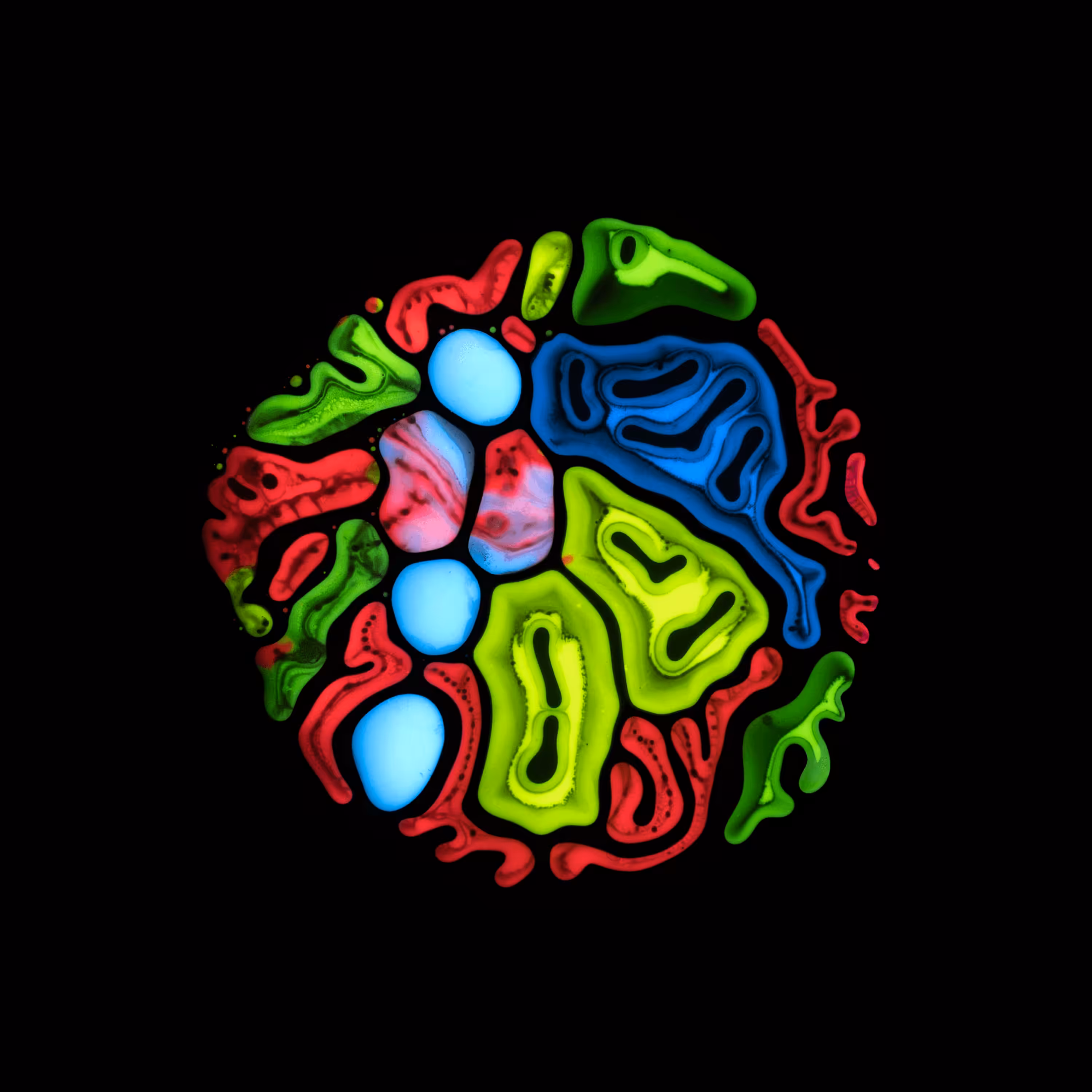 Haematopoiesis #70