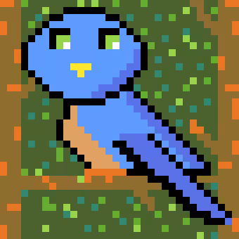 Budgie_002