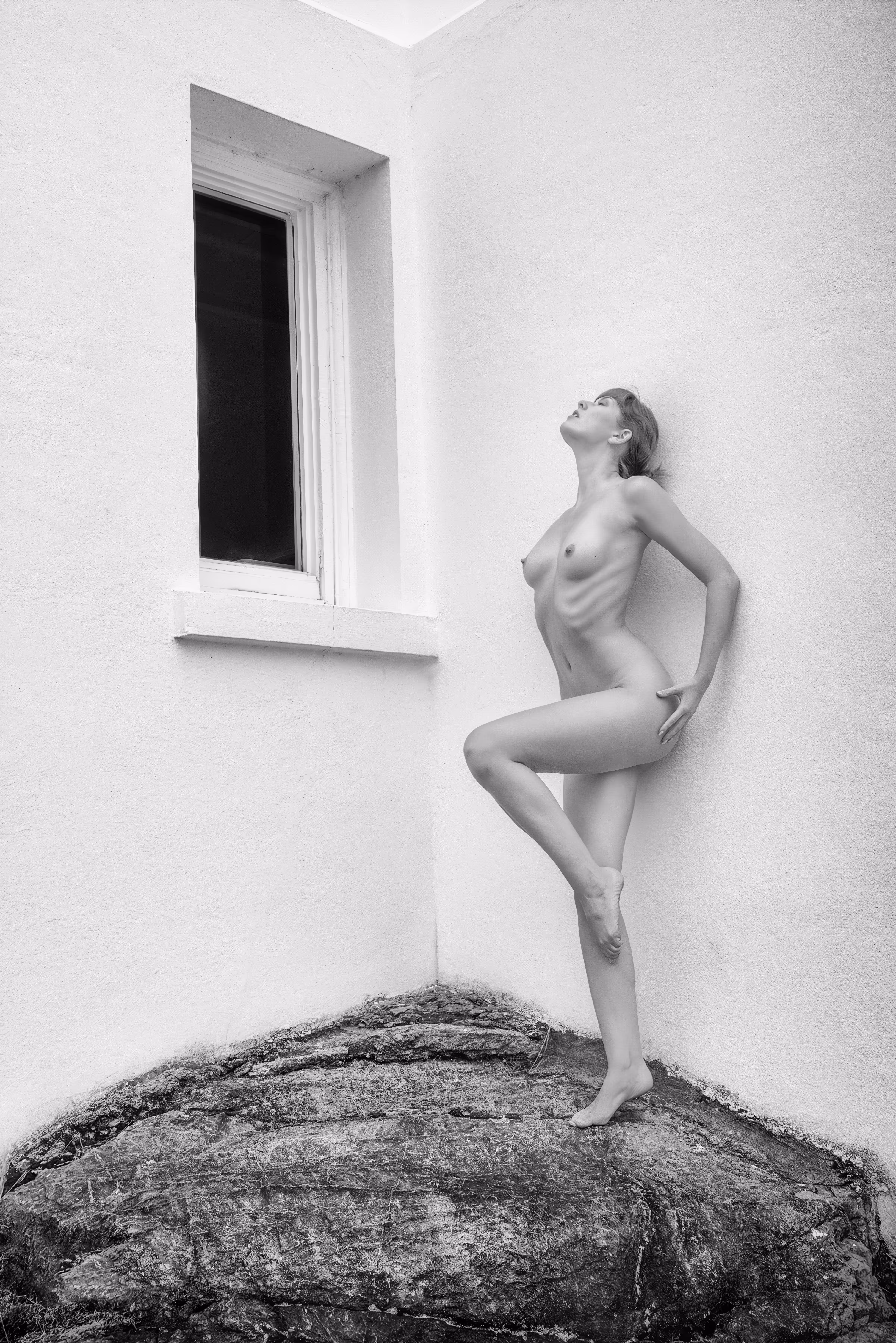 Contorno Vivo