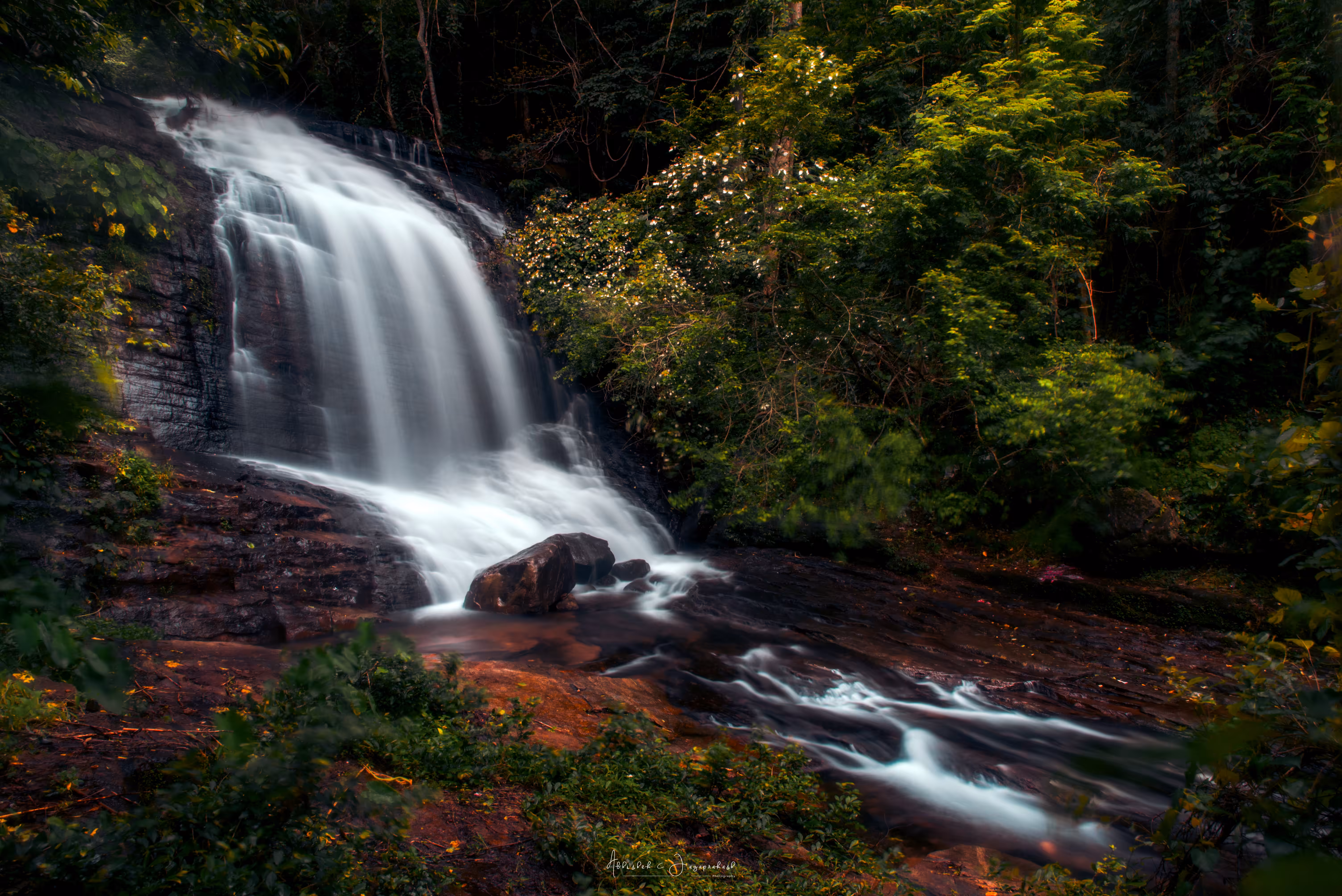 nature never goes out of style #3