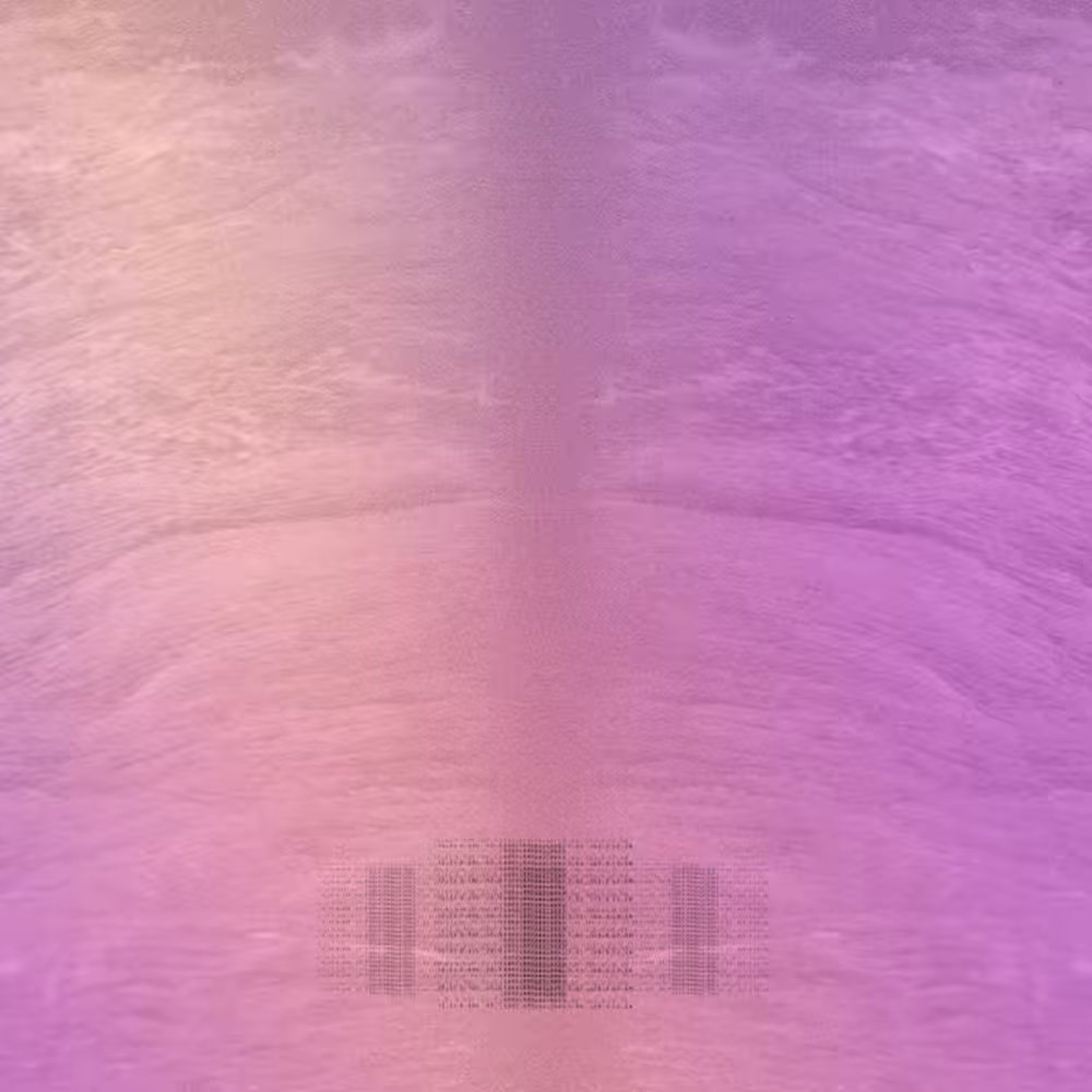 #164