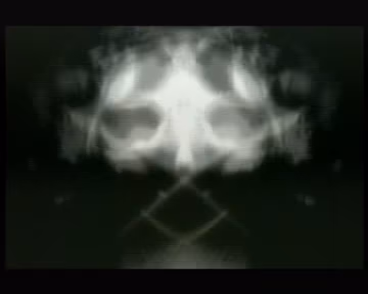 fish sKull 2