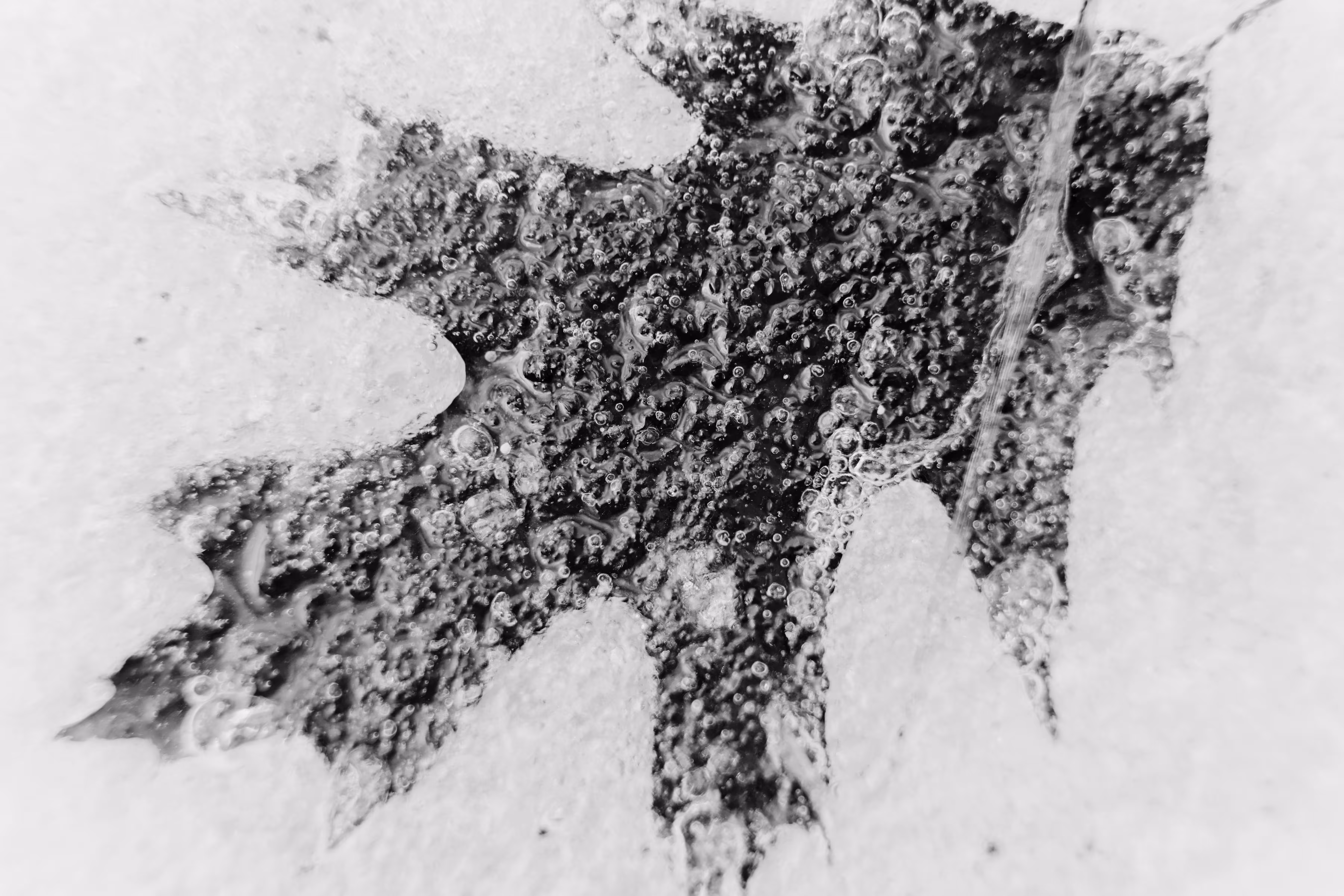 _between seasons