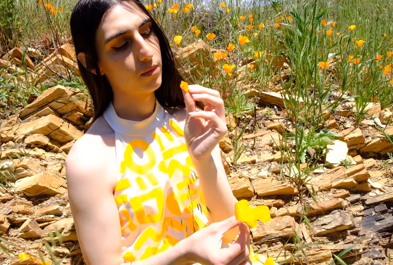 Allure of the Poppy #8