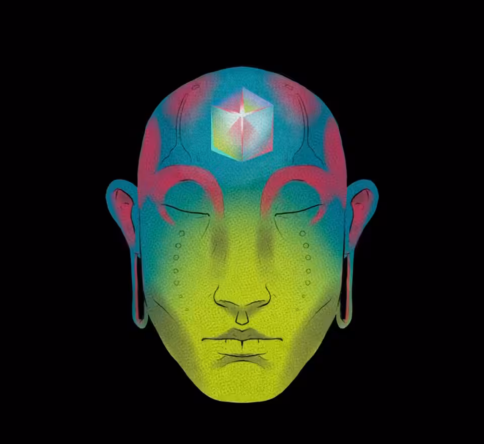 5D
