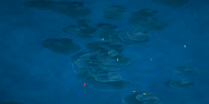 The Restoration Scheme: Reefs #54