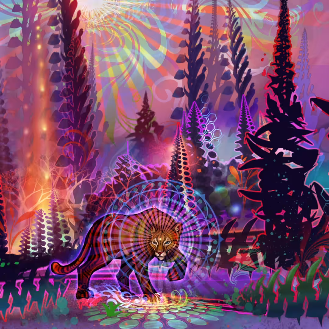 Anima Magica .c1
