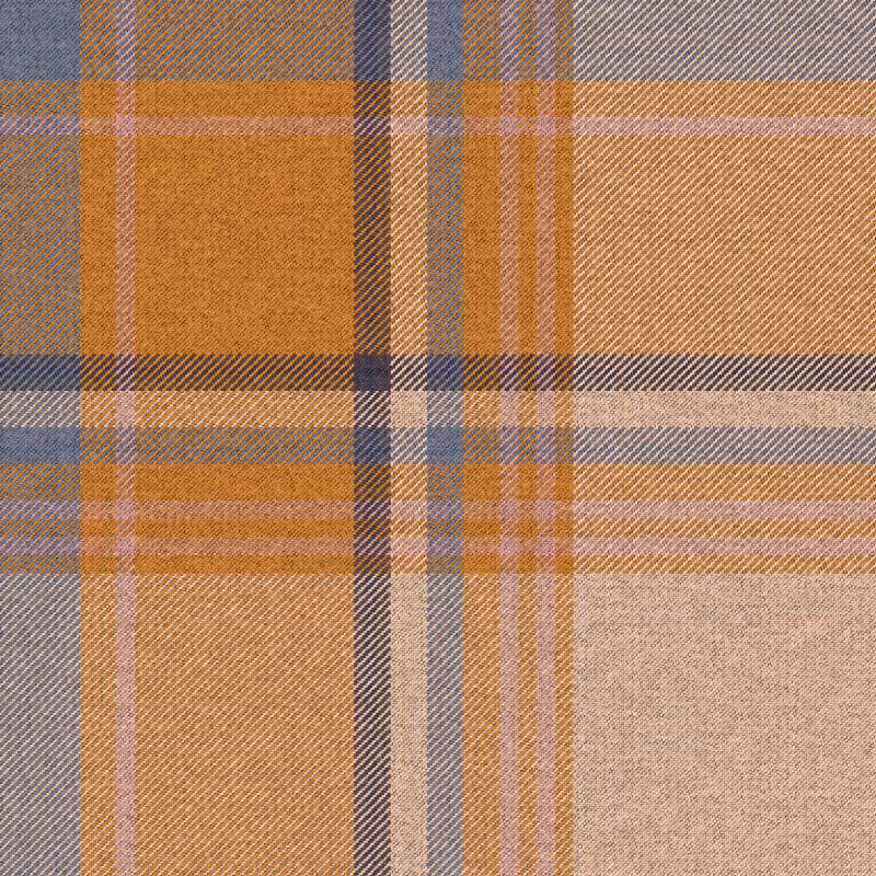 Tartan Cloth #25