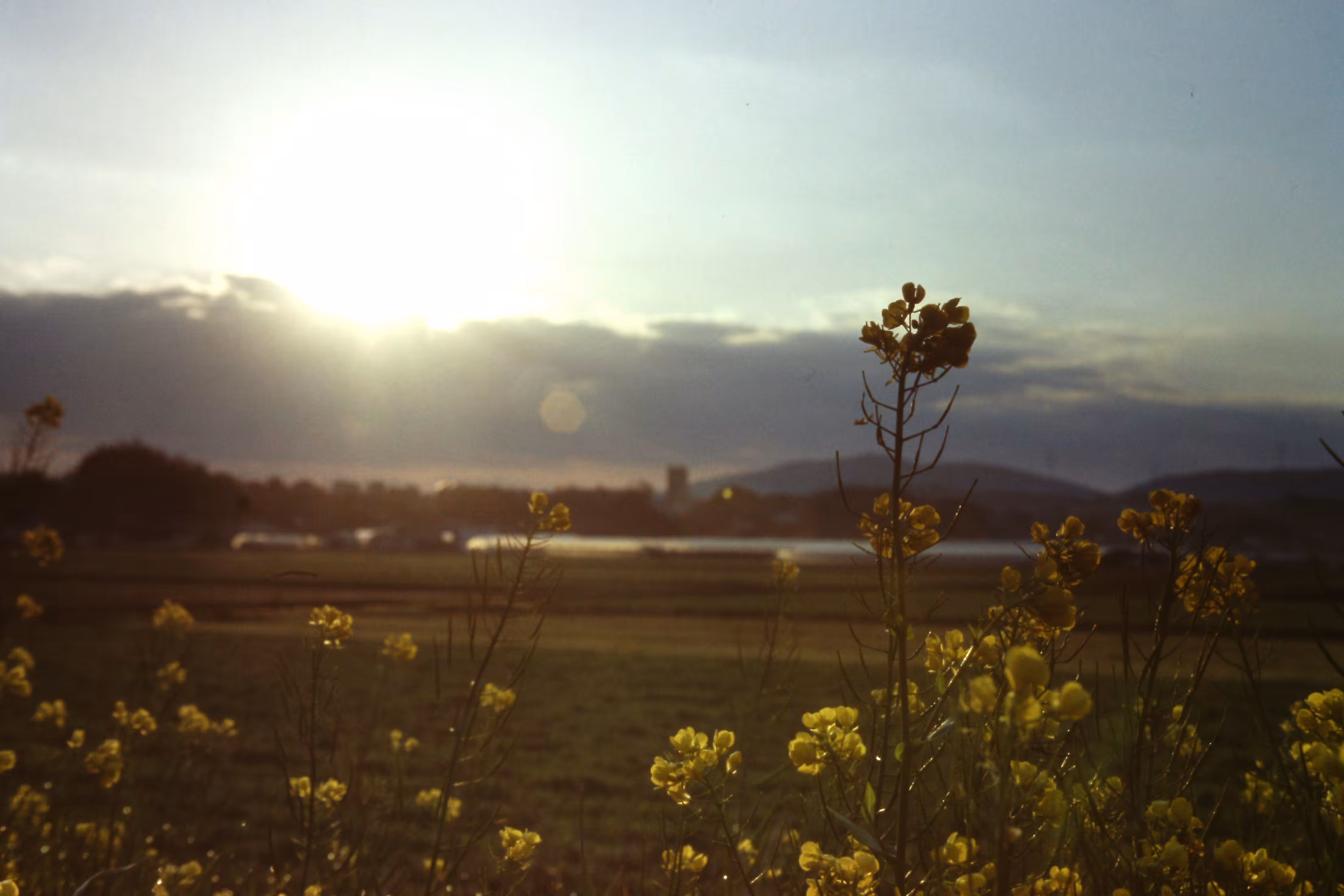 Heaven Series: The World of Film - Beautiful World