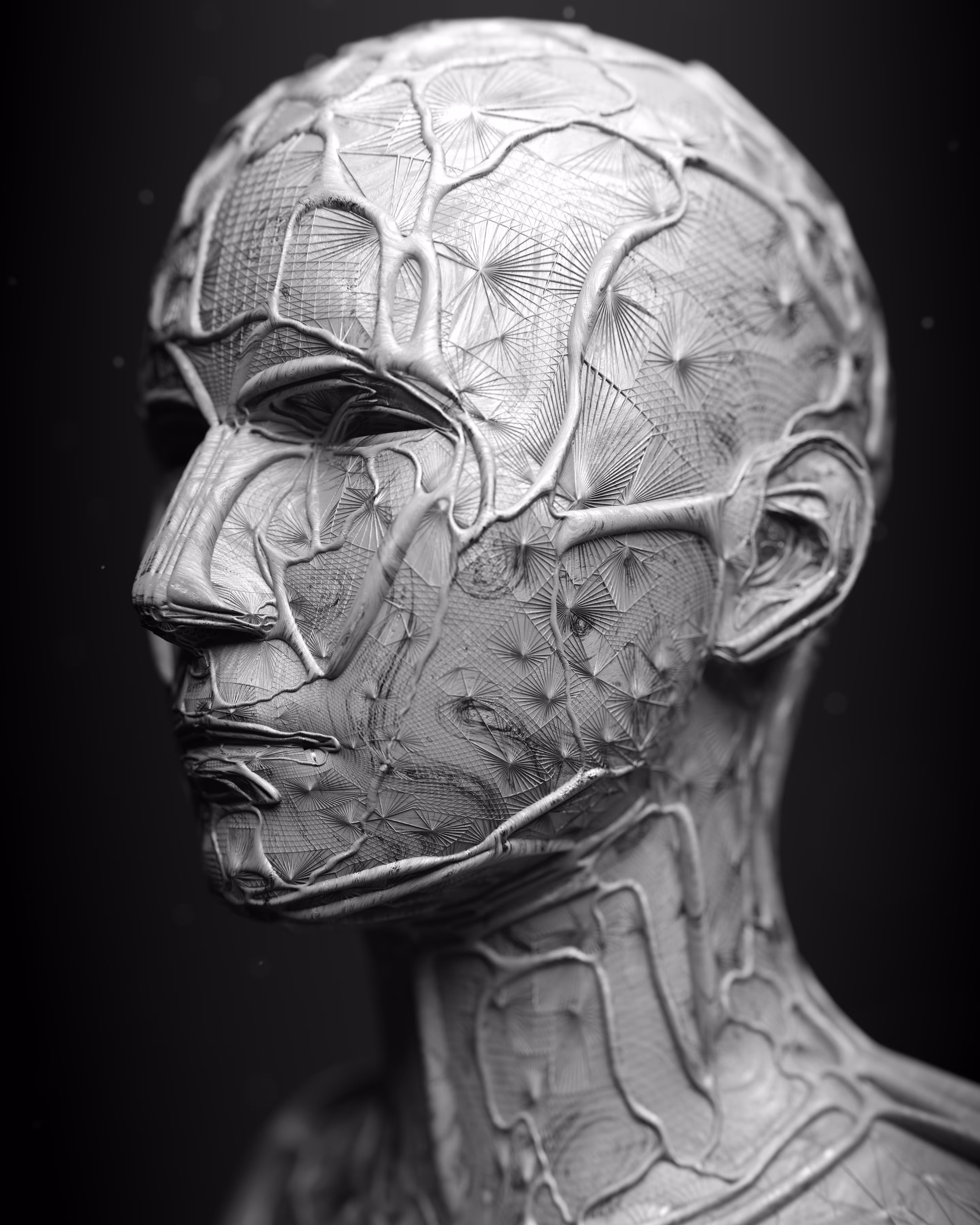 Veins