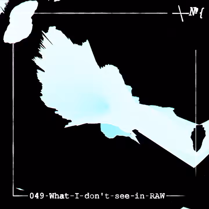 049 What I don't see in RAW