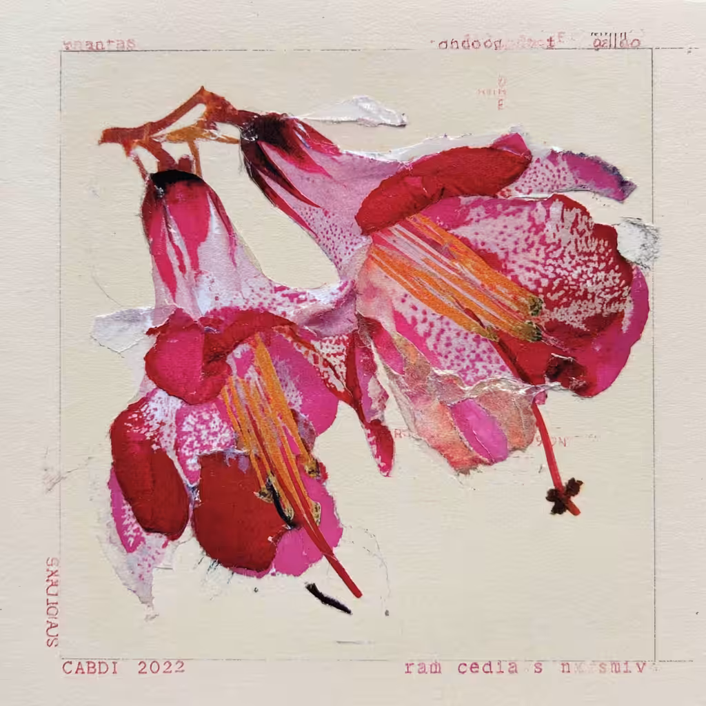 HBA.007 - GHOST OF A CLASSIFIED PLANT