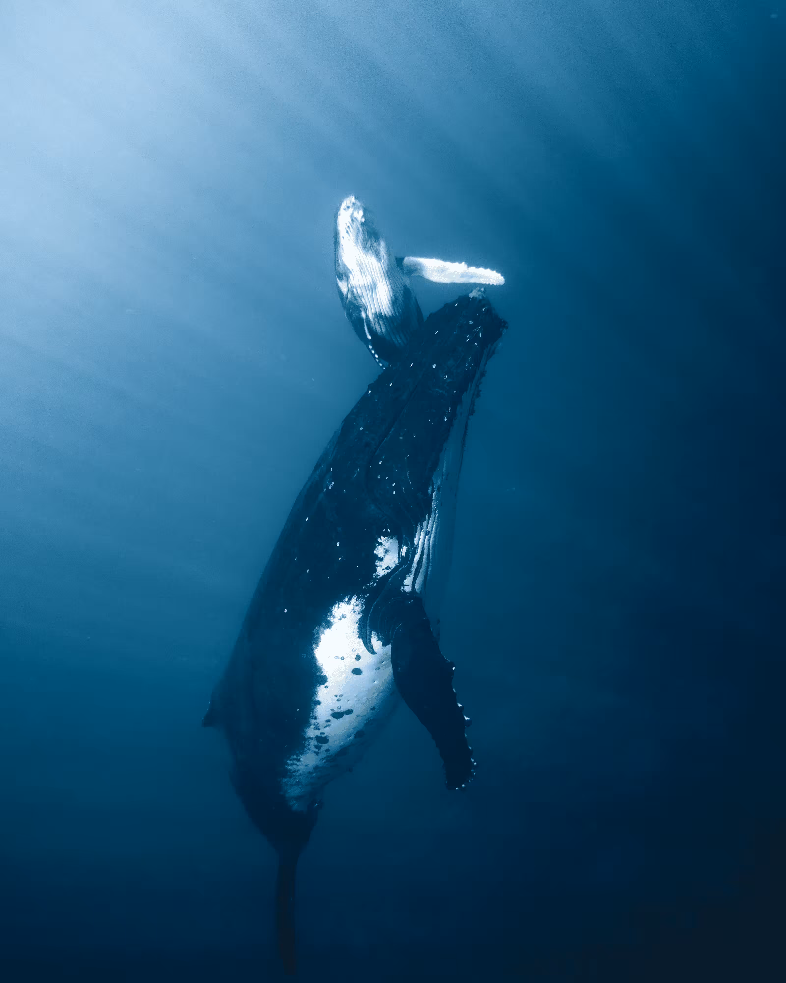 "Into The Blue" #30