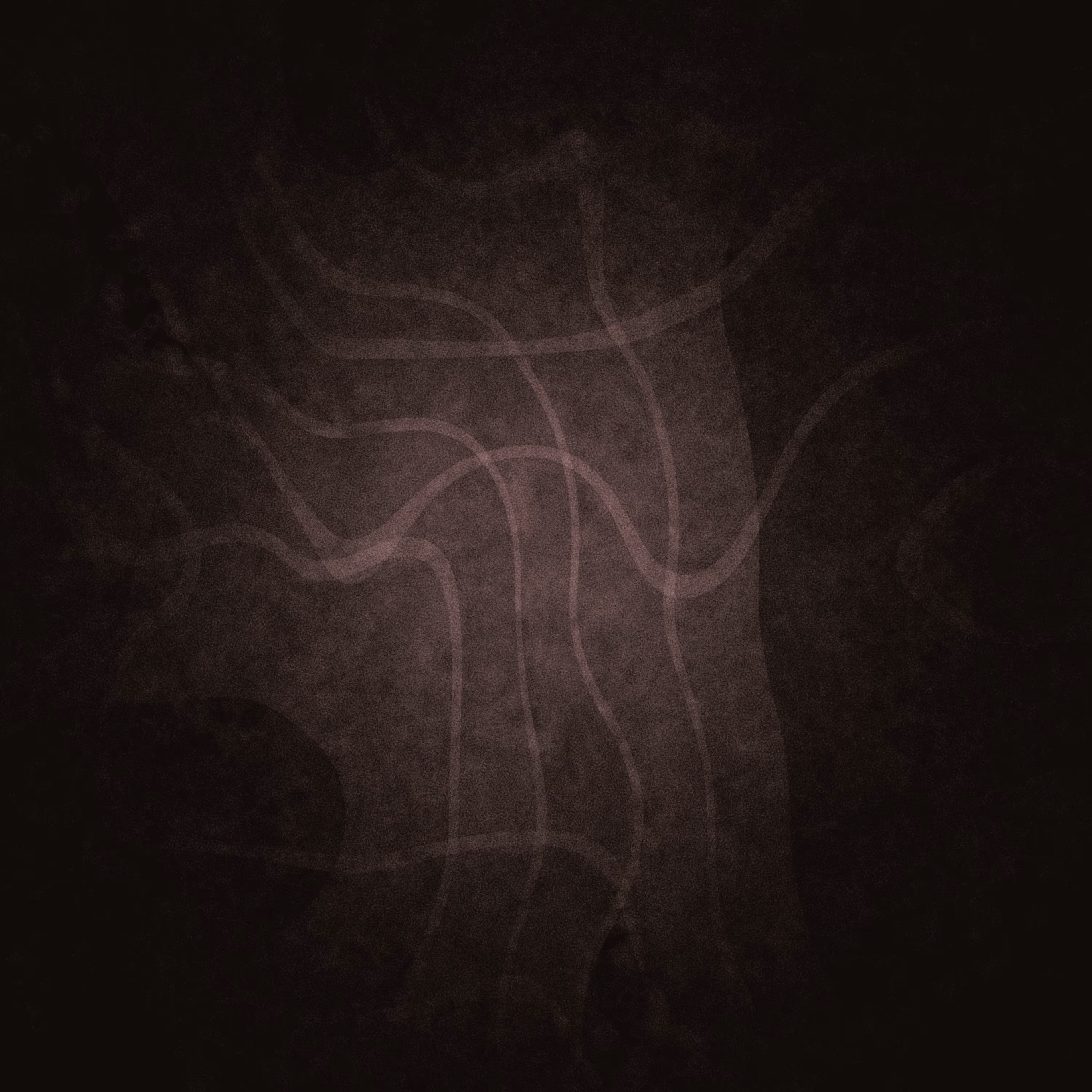 Beyond Dichotomy  #67
