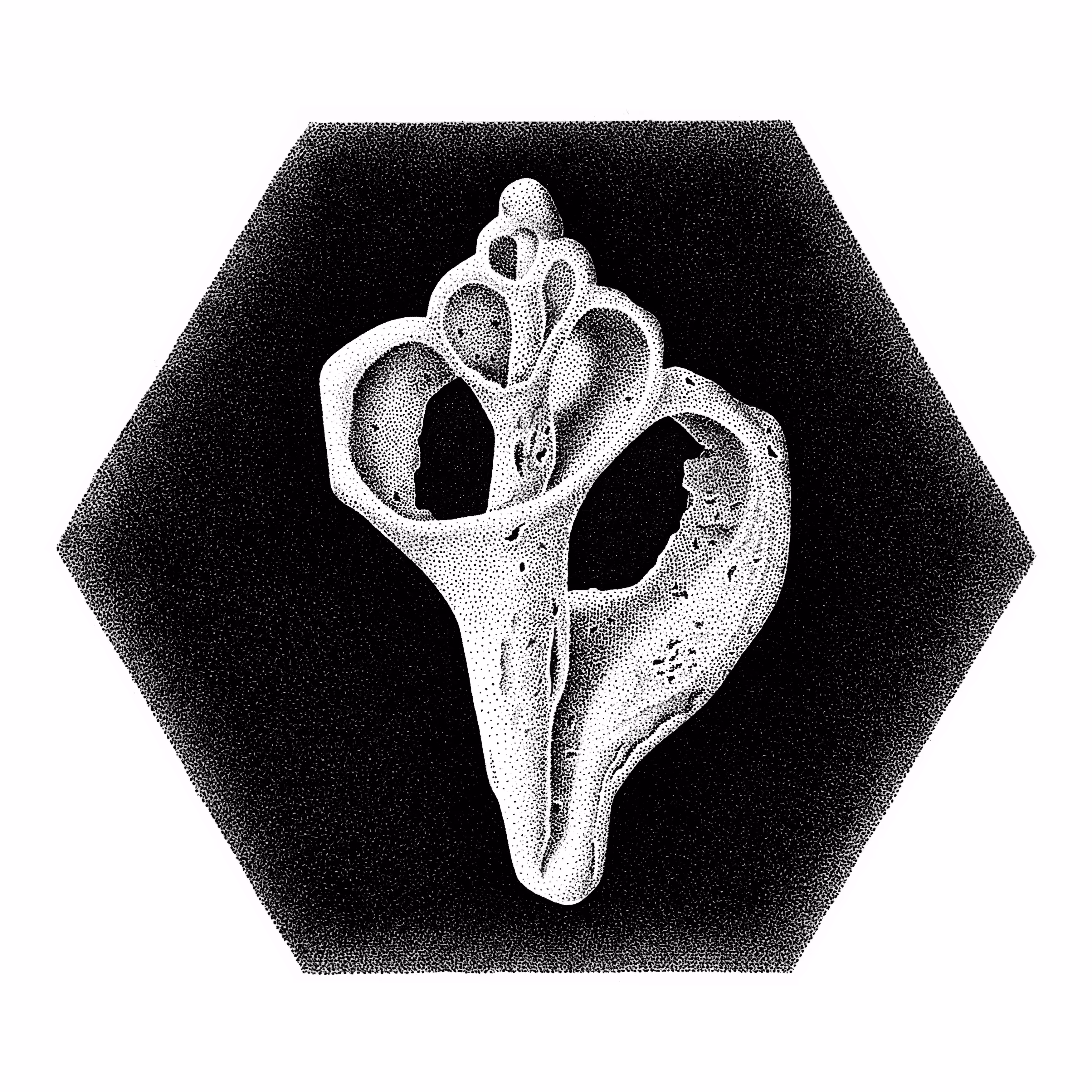broken_shell_1