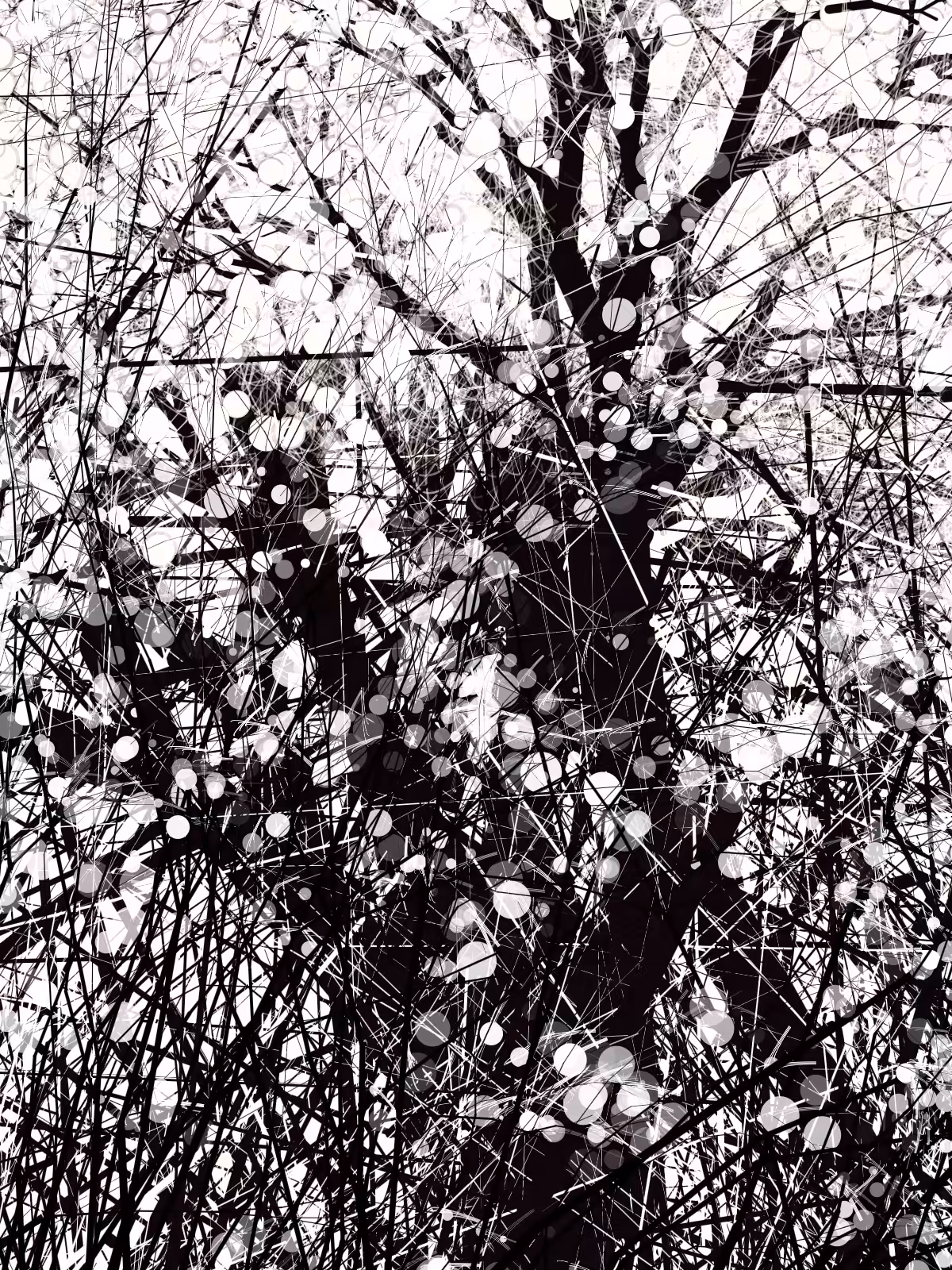 conversation with the wind
