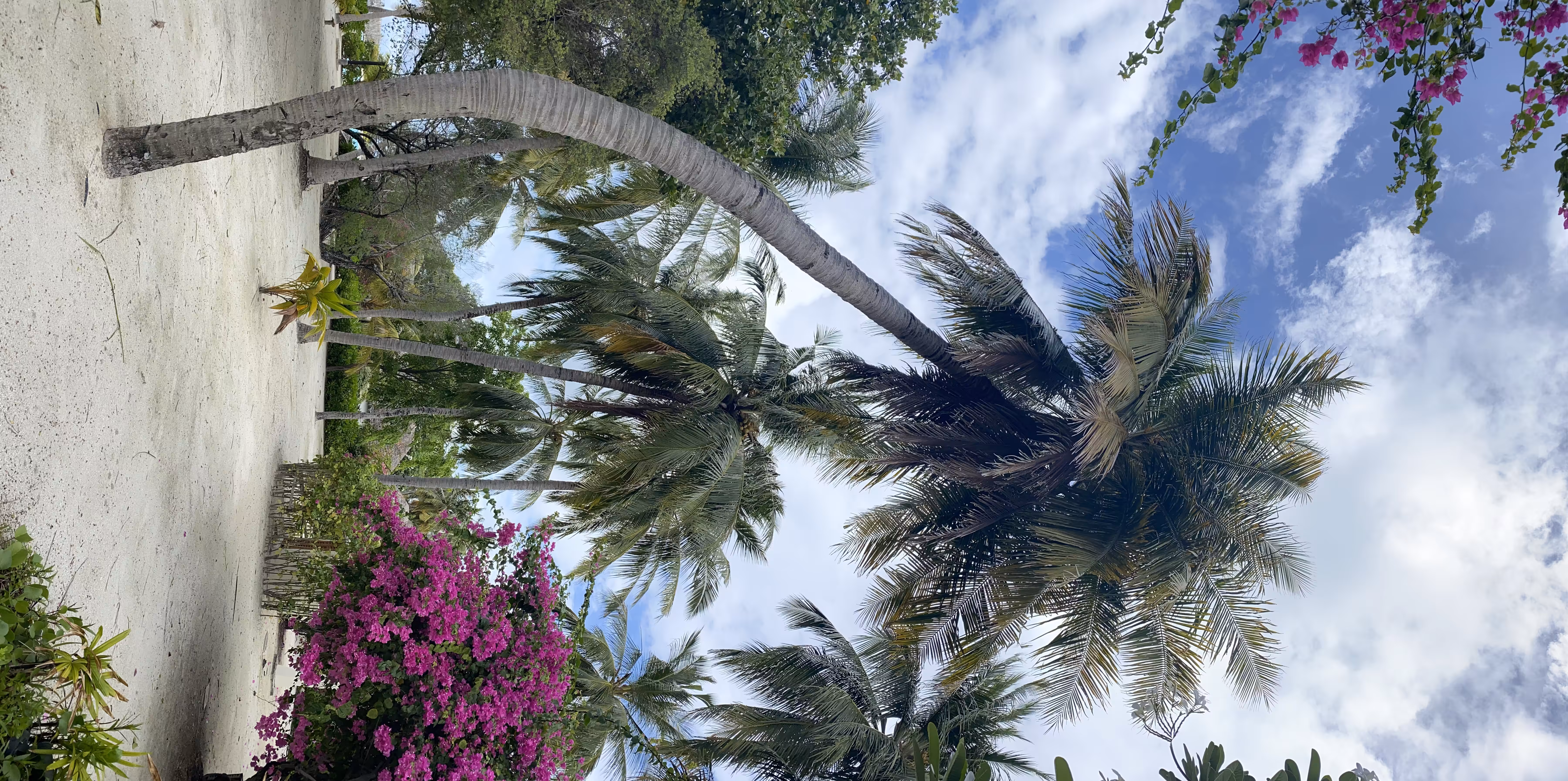 Maldives 1.1