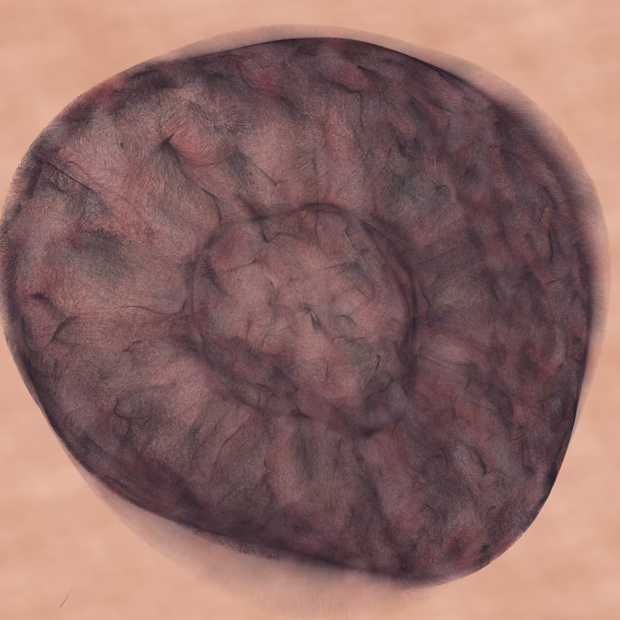 stellar nurseries #108