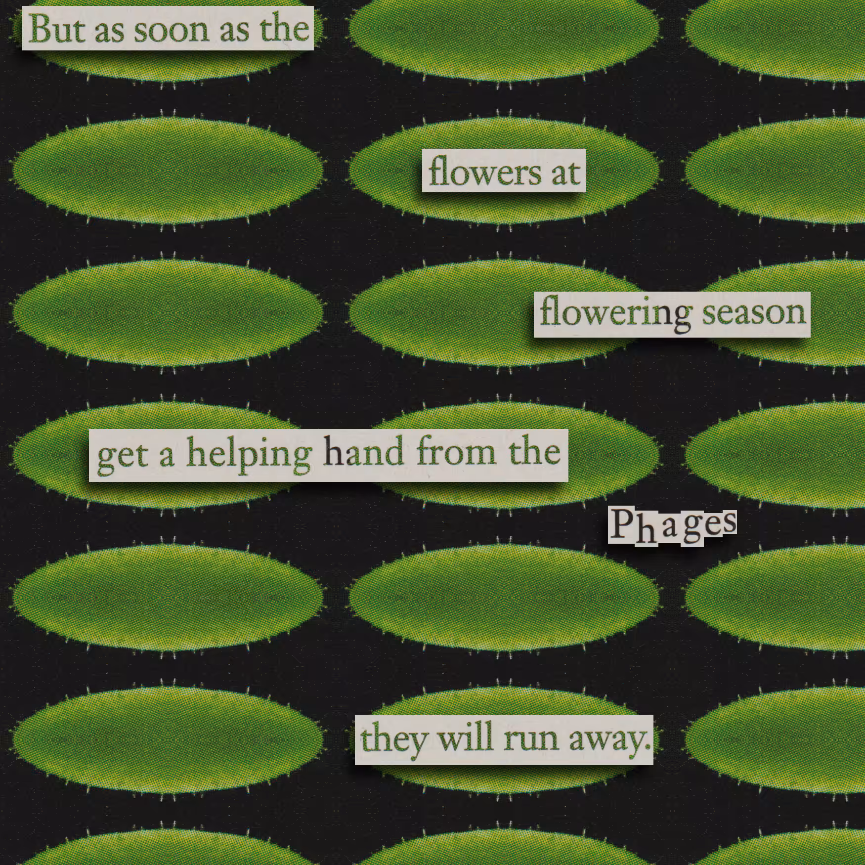 The Phages
