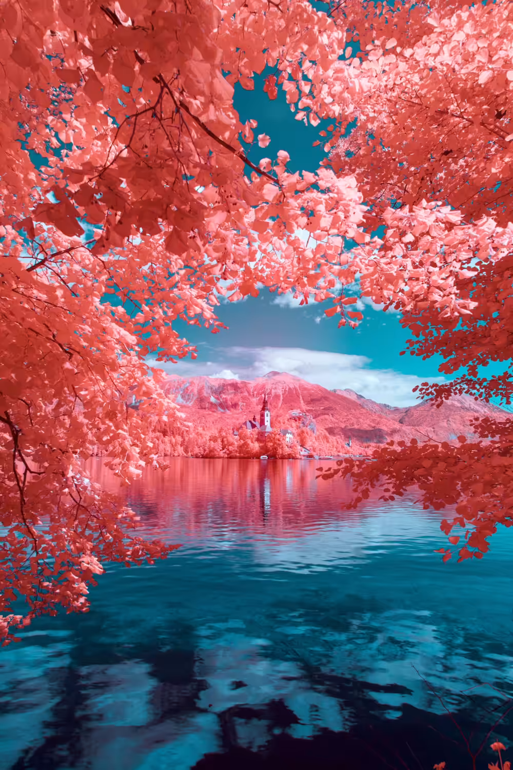 Lake Bled