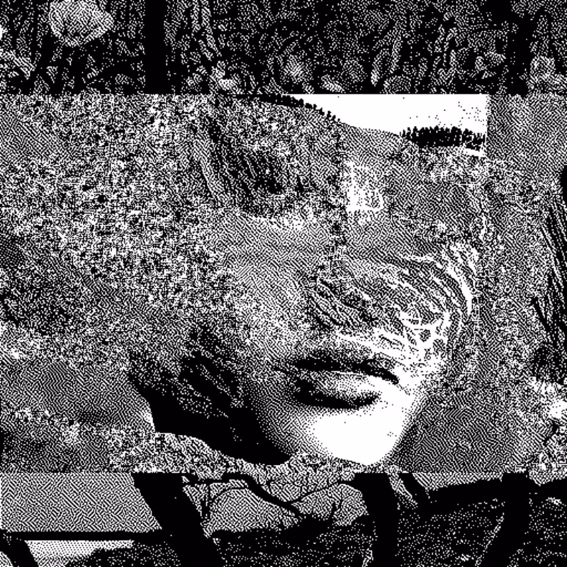 Whipped Dream #129