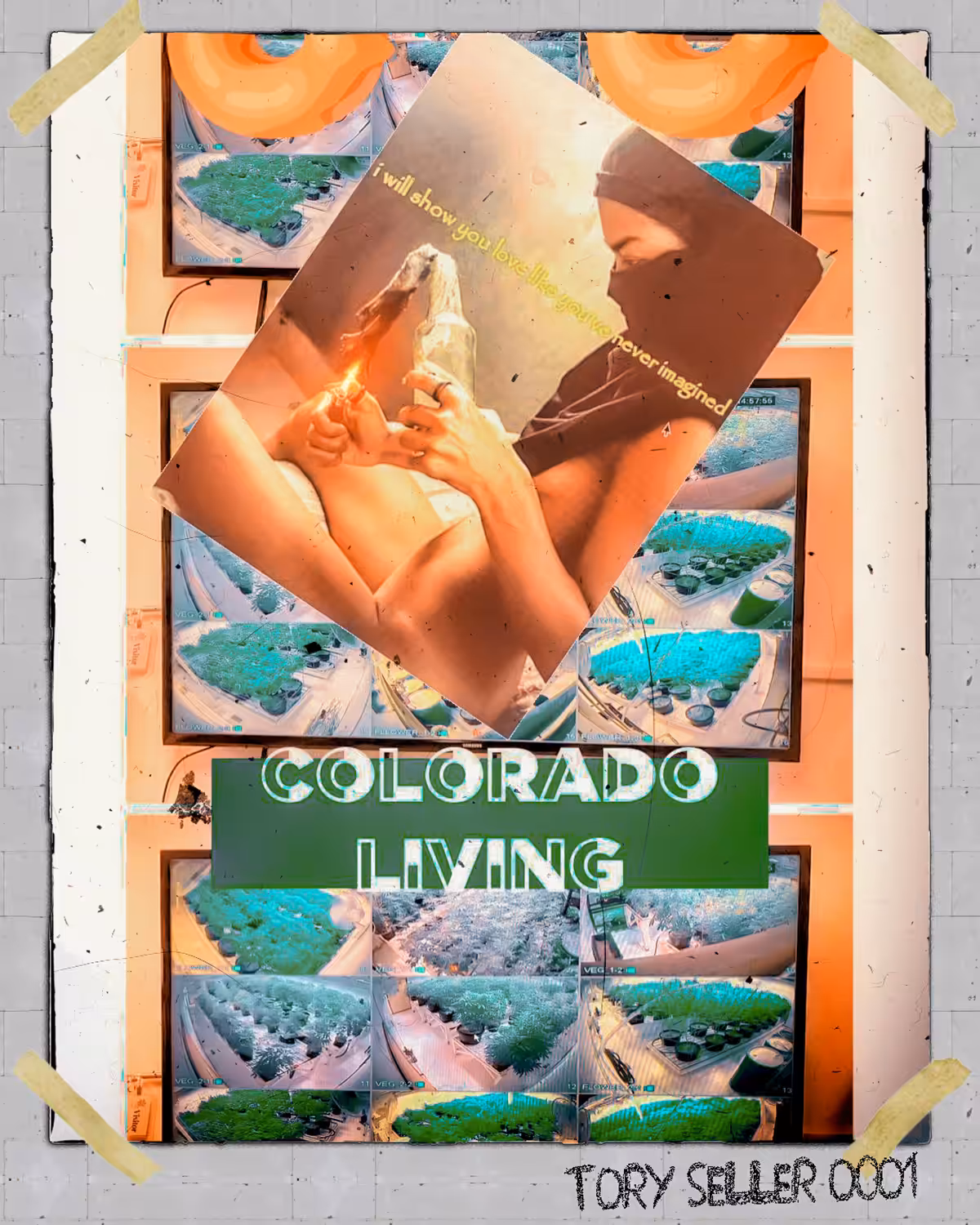 Colorado Living
