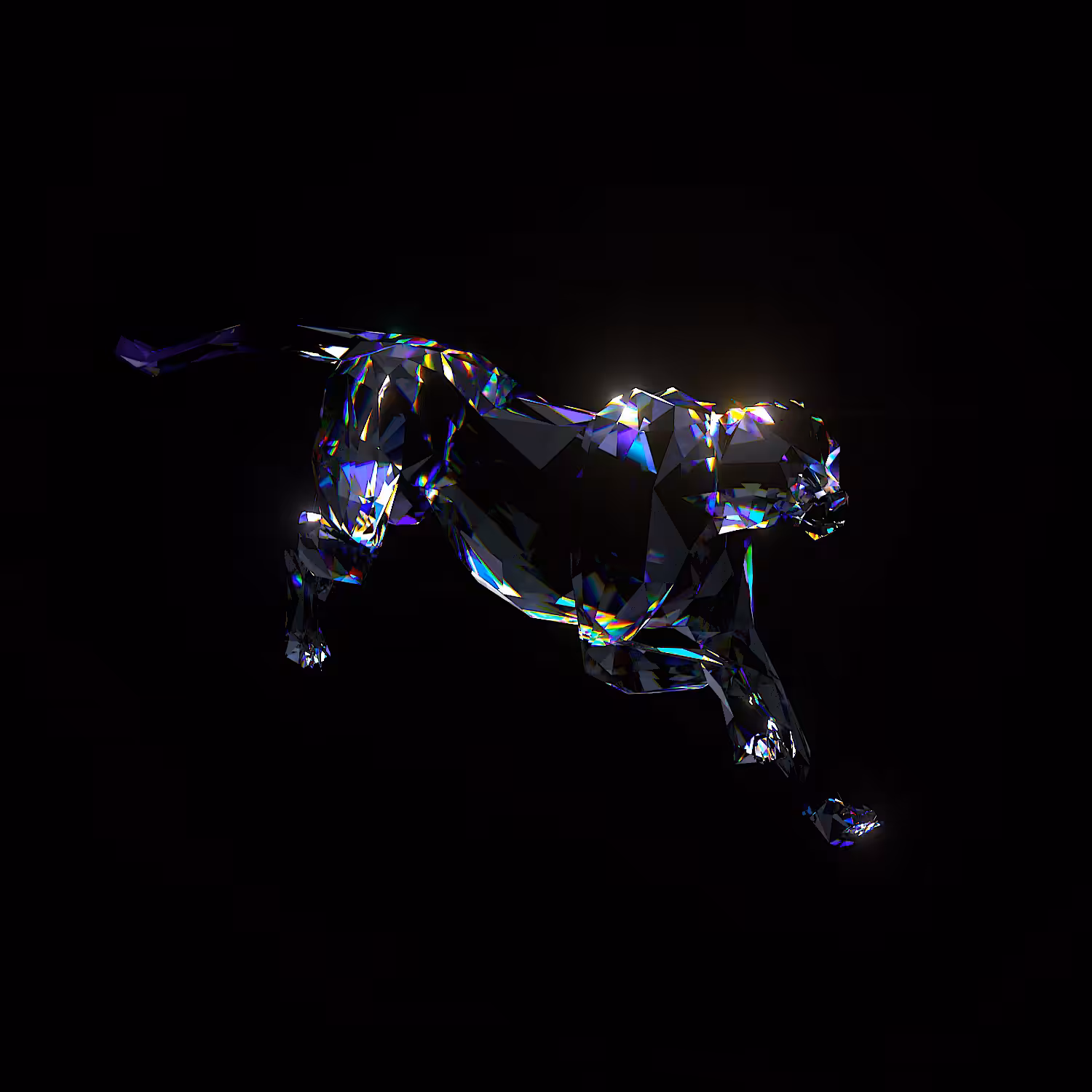 Cheetah #001