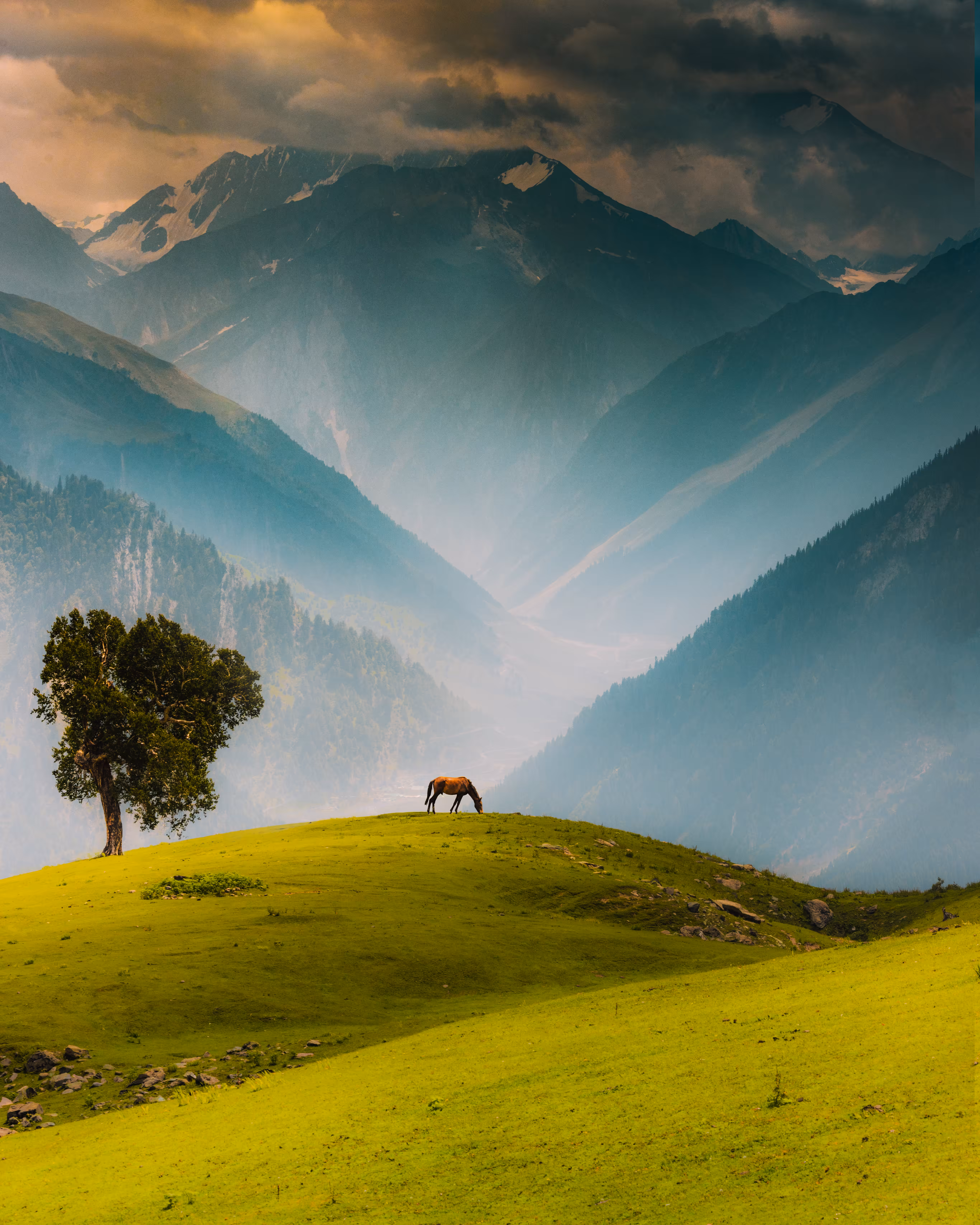 Simplicity Of Nature