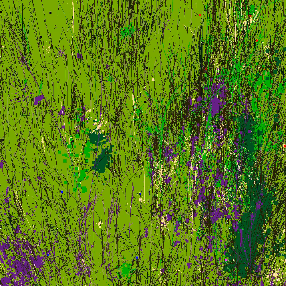 Infinite Garden: 43537 Flowers