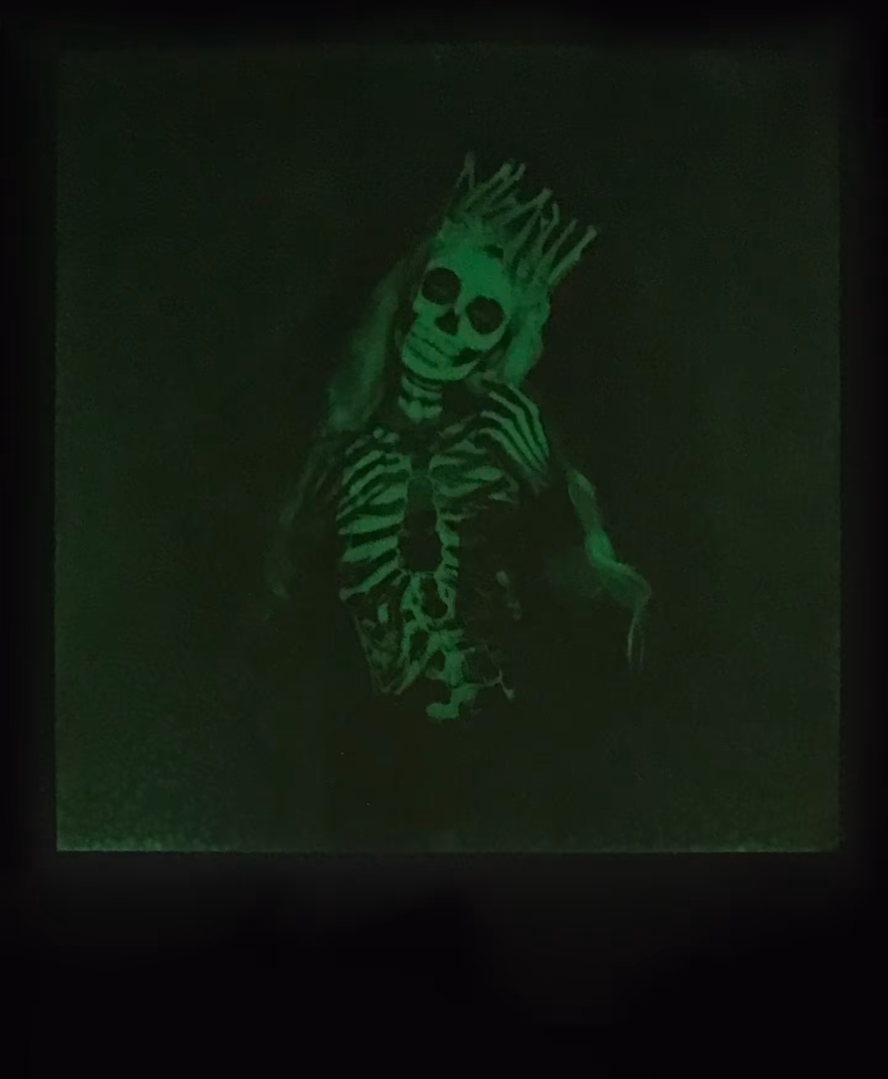 Polaroids 10