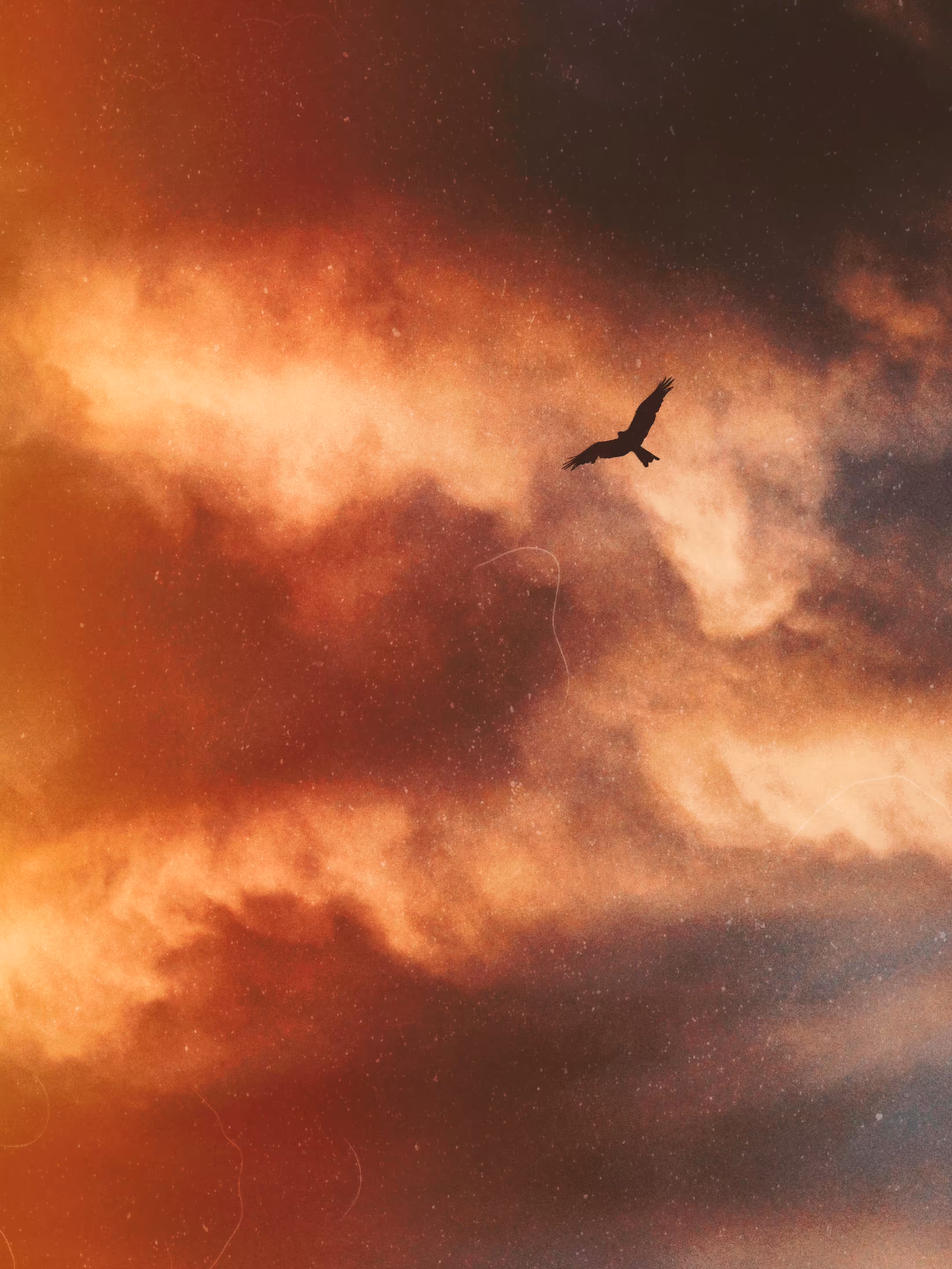 fly high