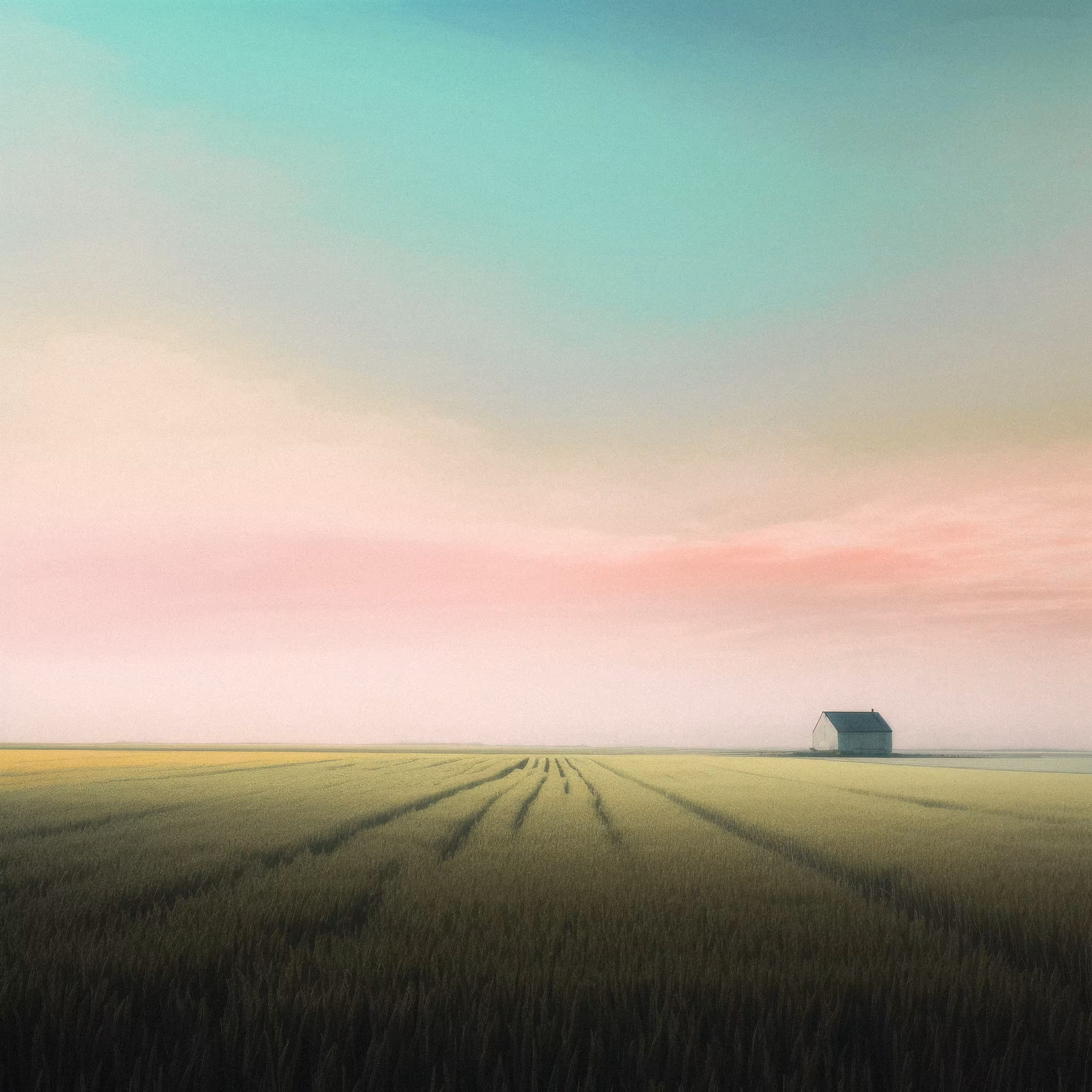 pastel fields