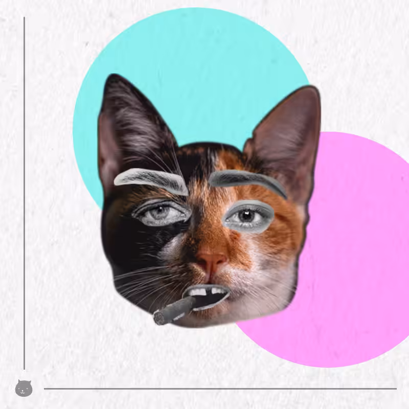 Kittenstein #2