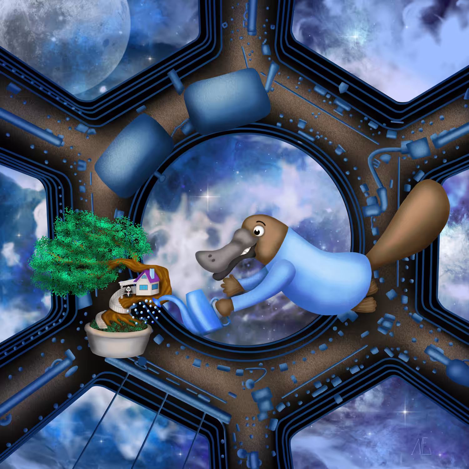 PLATYPUS ON THE SPACE STATION
