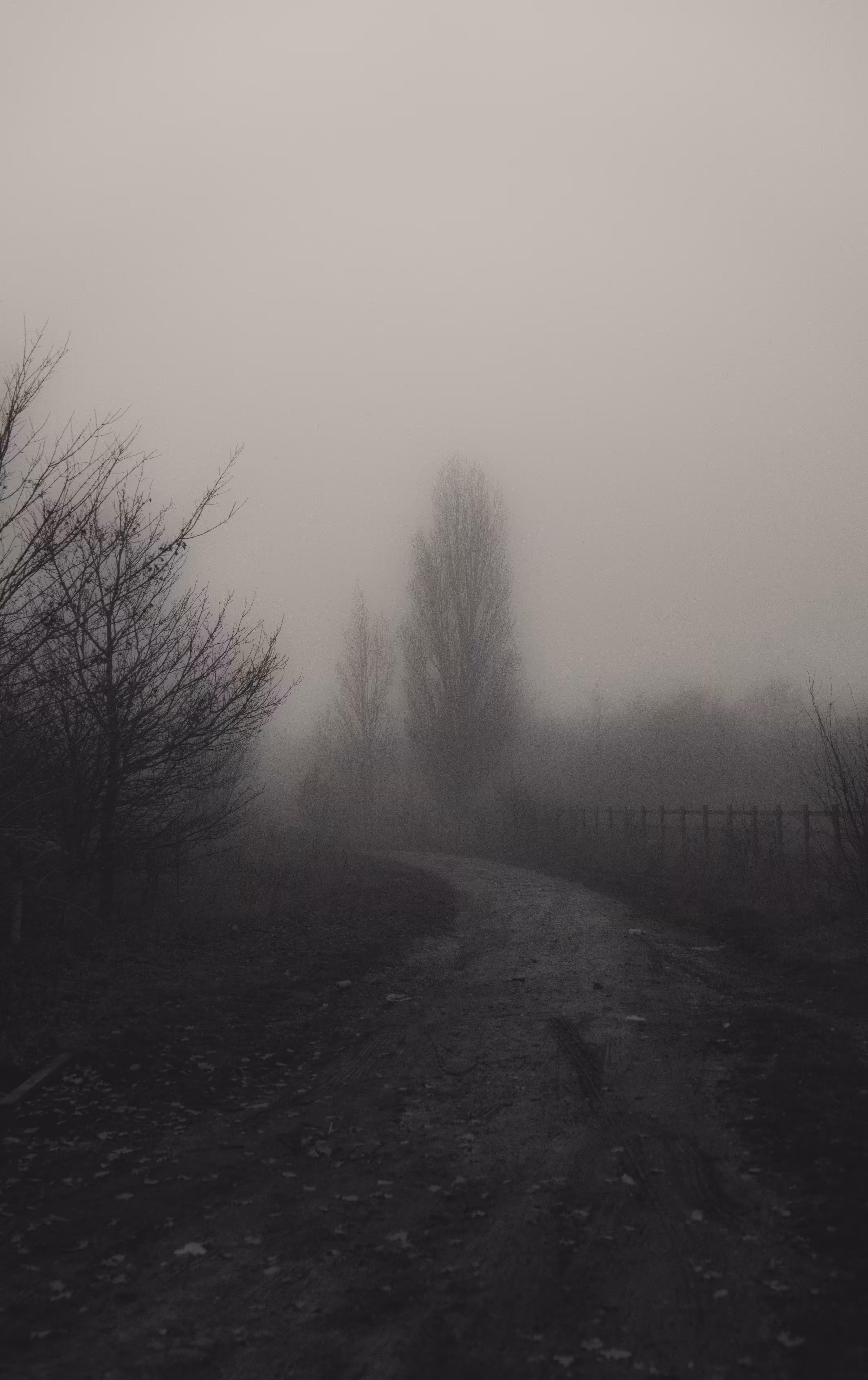The path ahead 