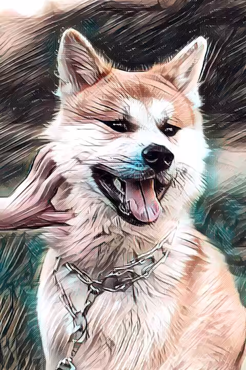 Bull Run Shib
