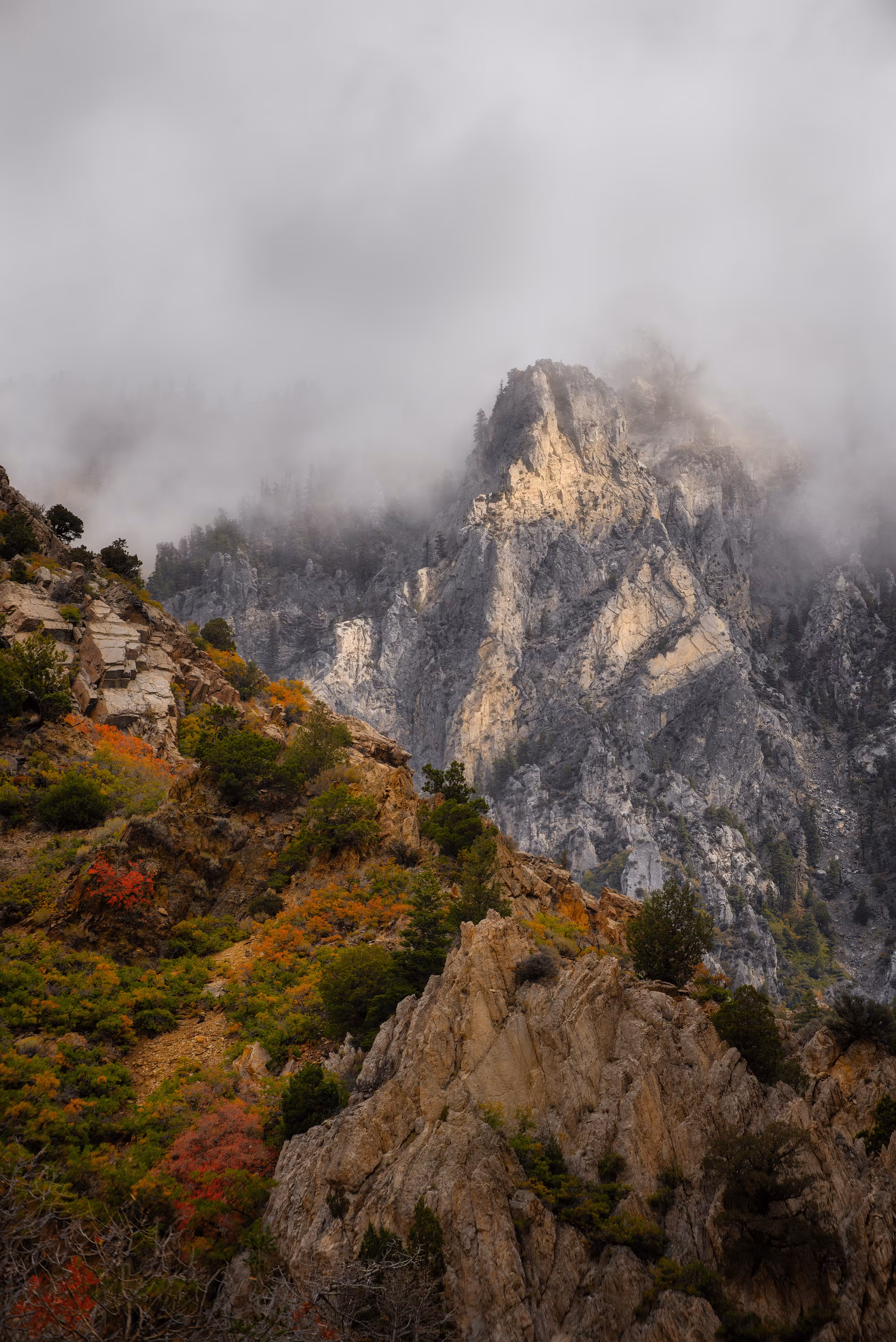 Autumn Peaks