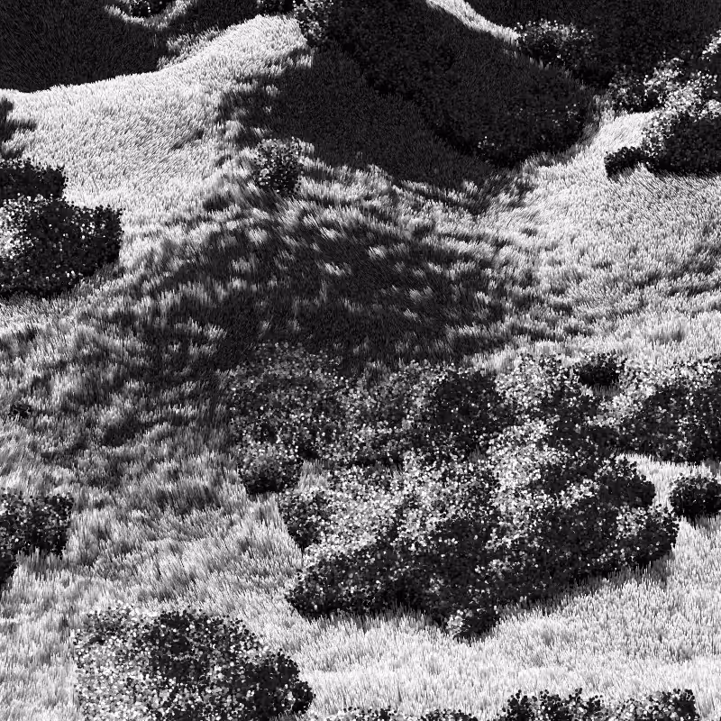 California Hills in Late Sun #147