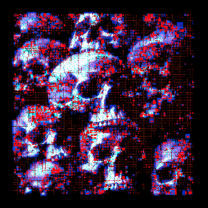 Signal Ossuary
