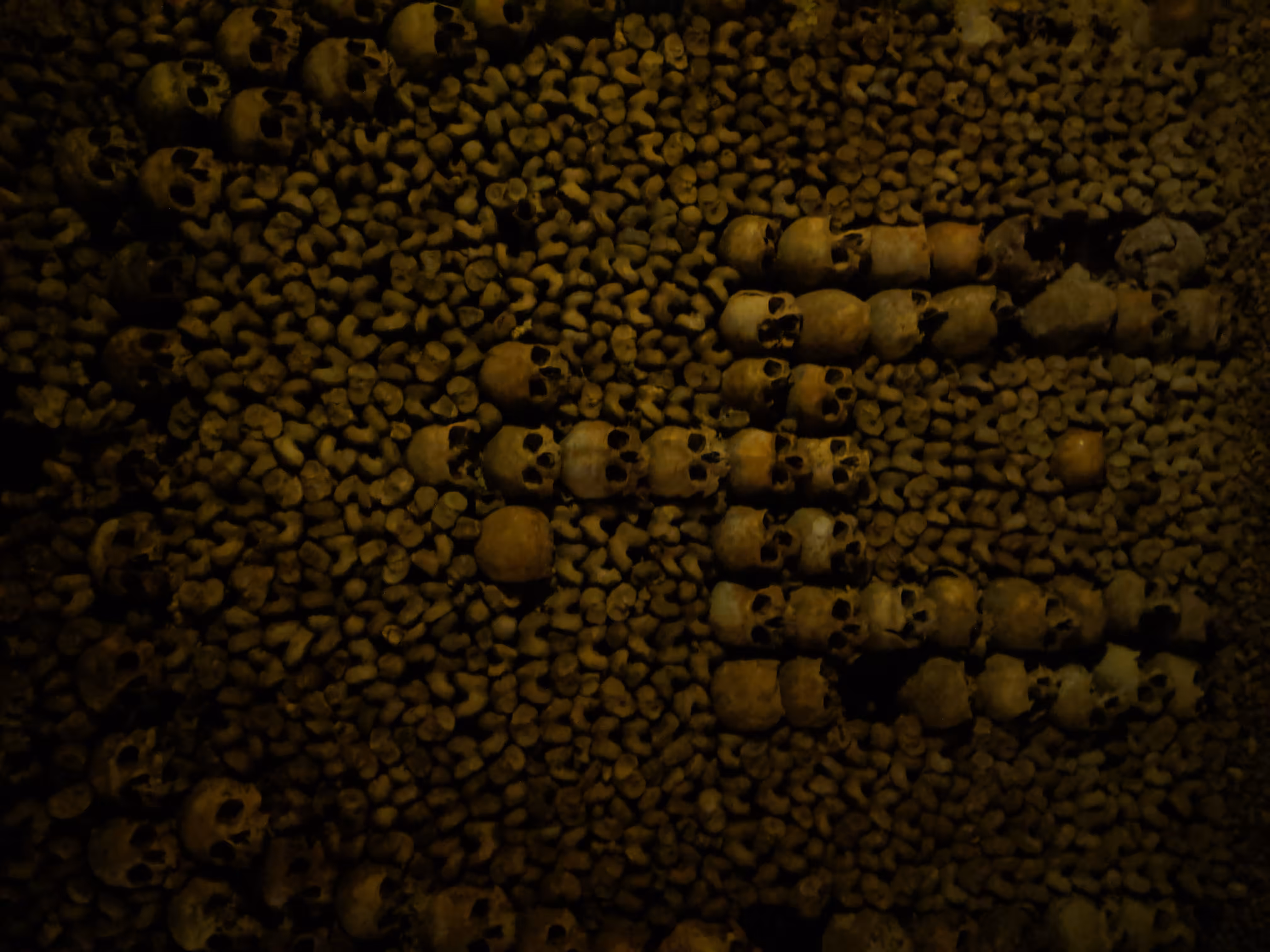 "White Bear" Skulls