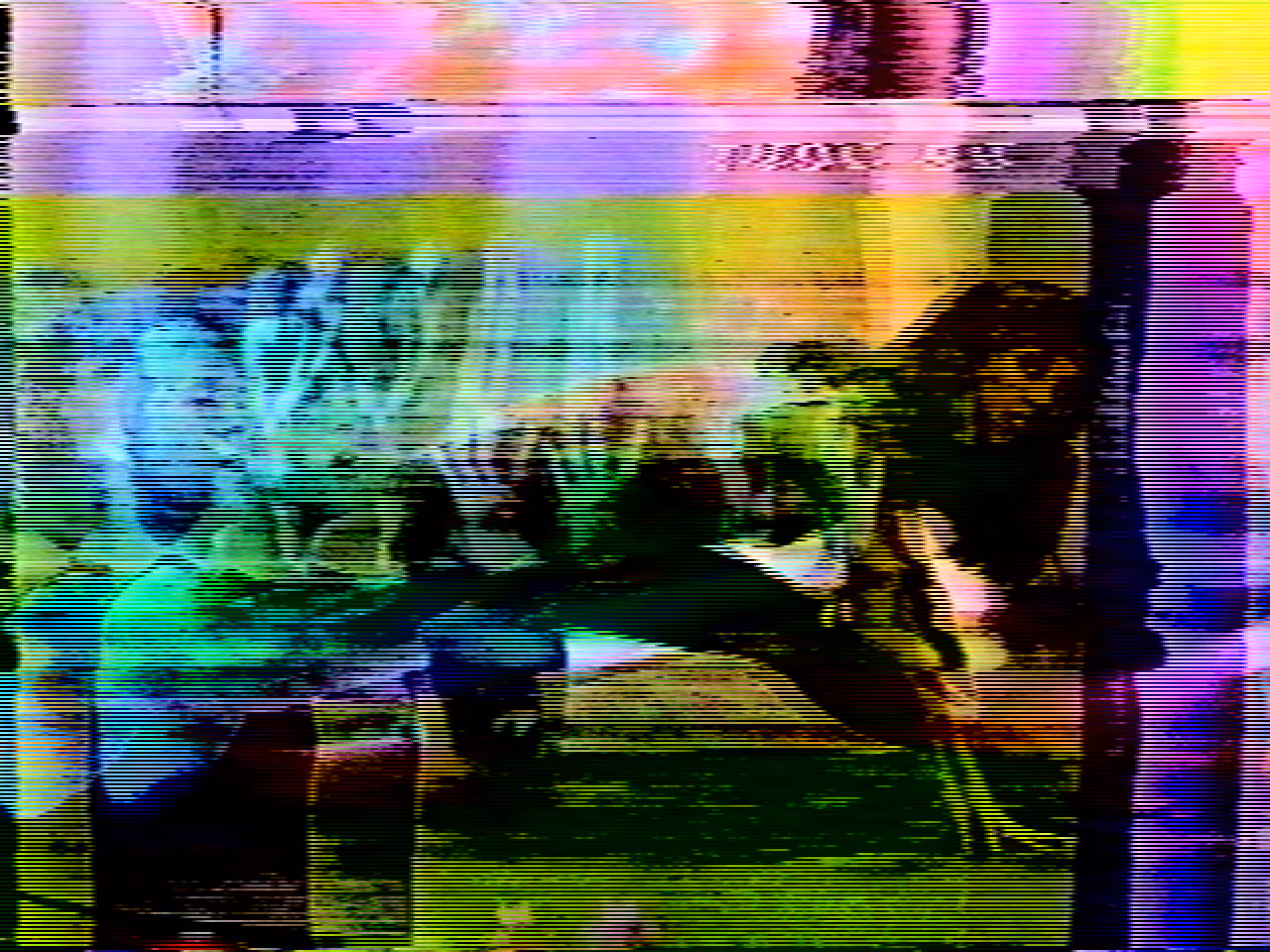N0033