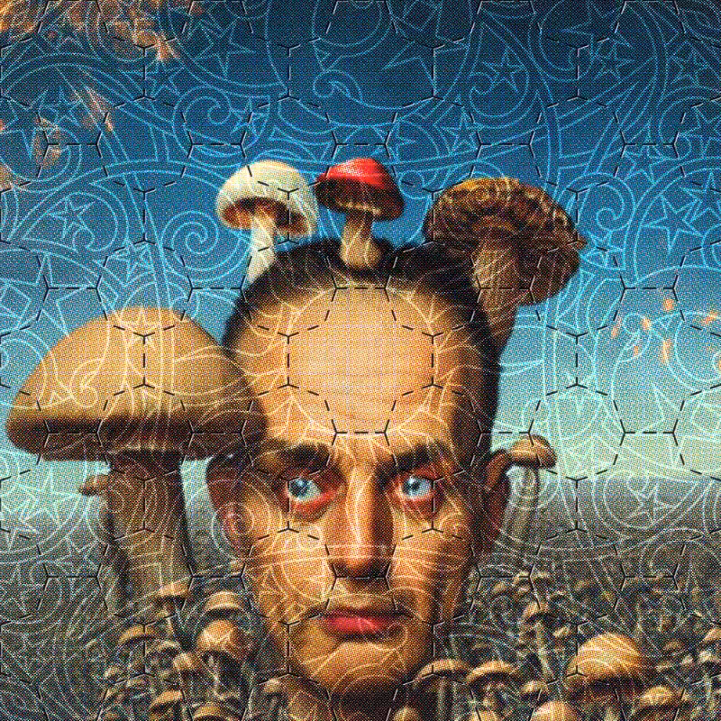 BLOTTER #41
